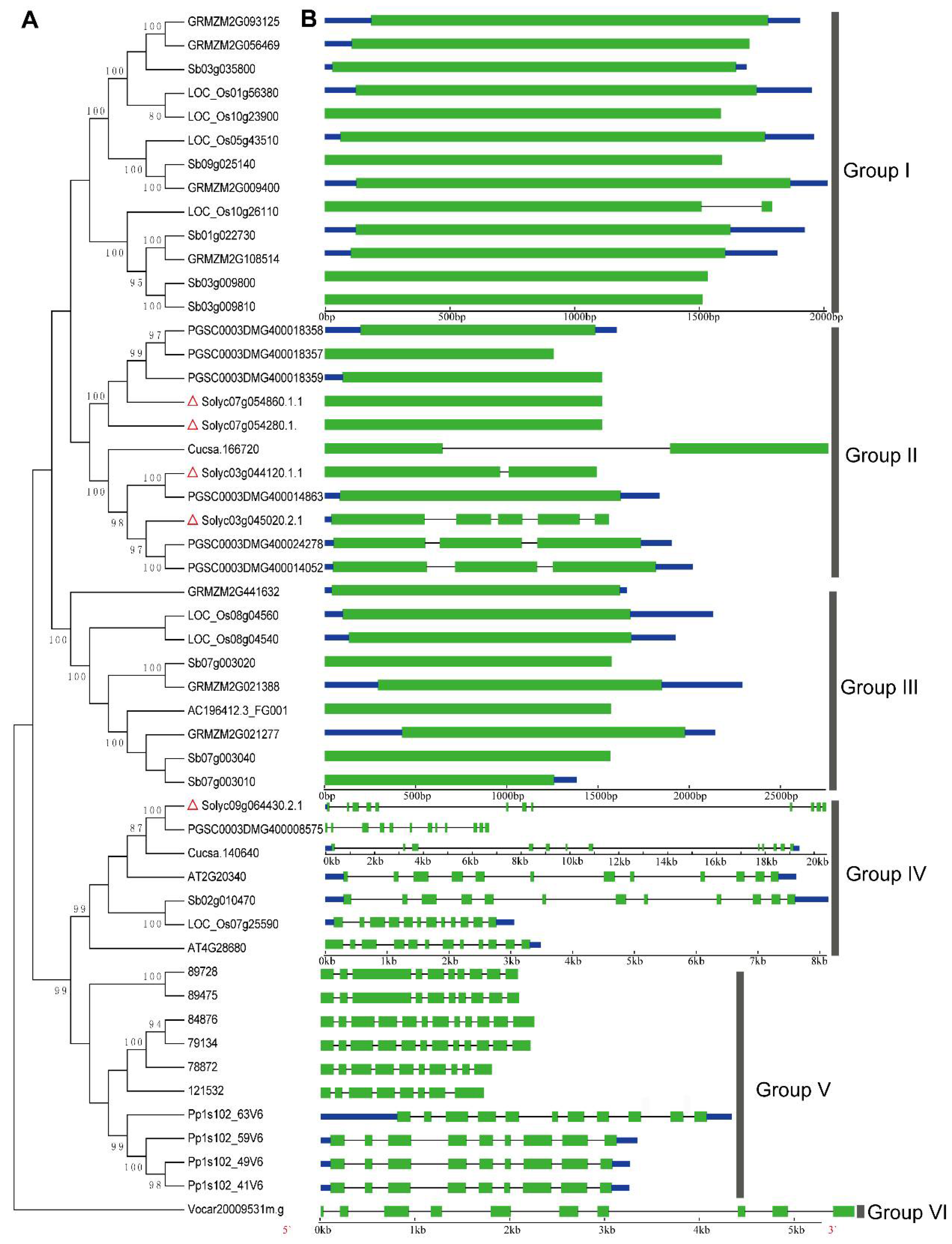 Molecules 23 00998 g002