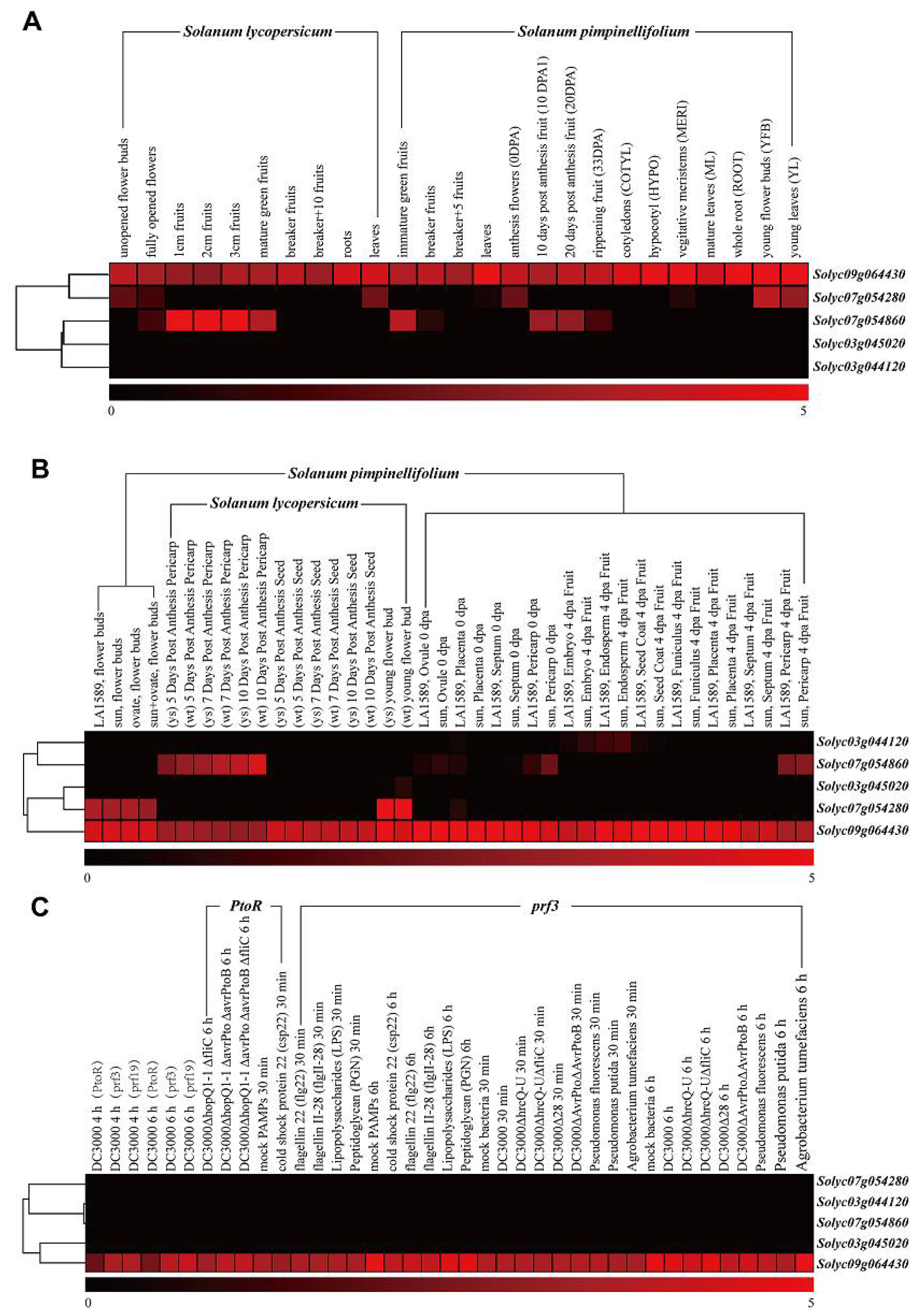 Molecules 23 00998 g003