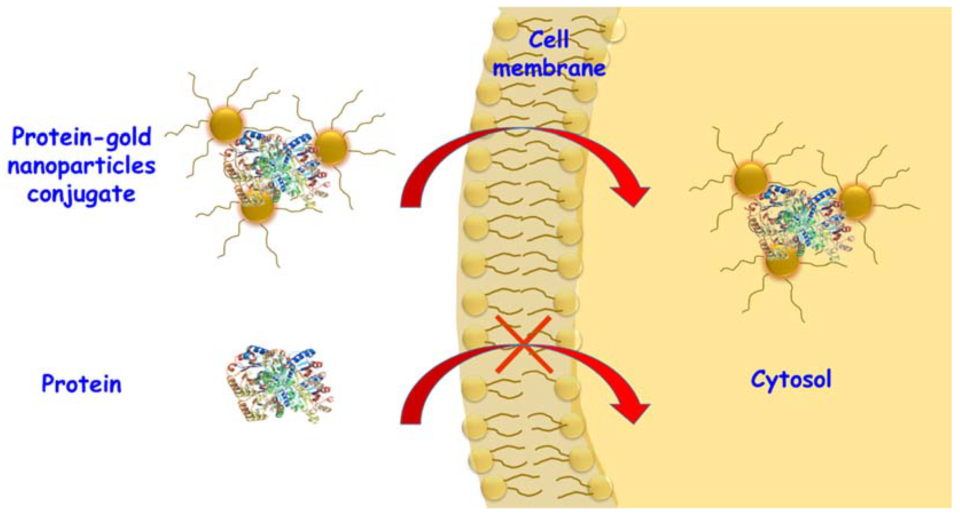 Molecules 23 01008 g002