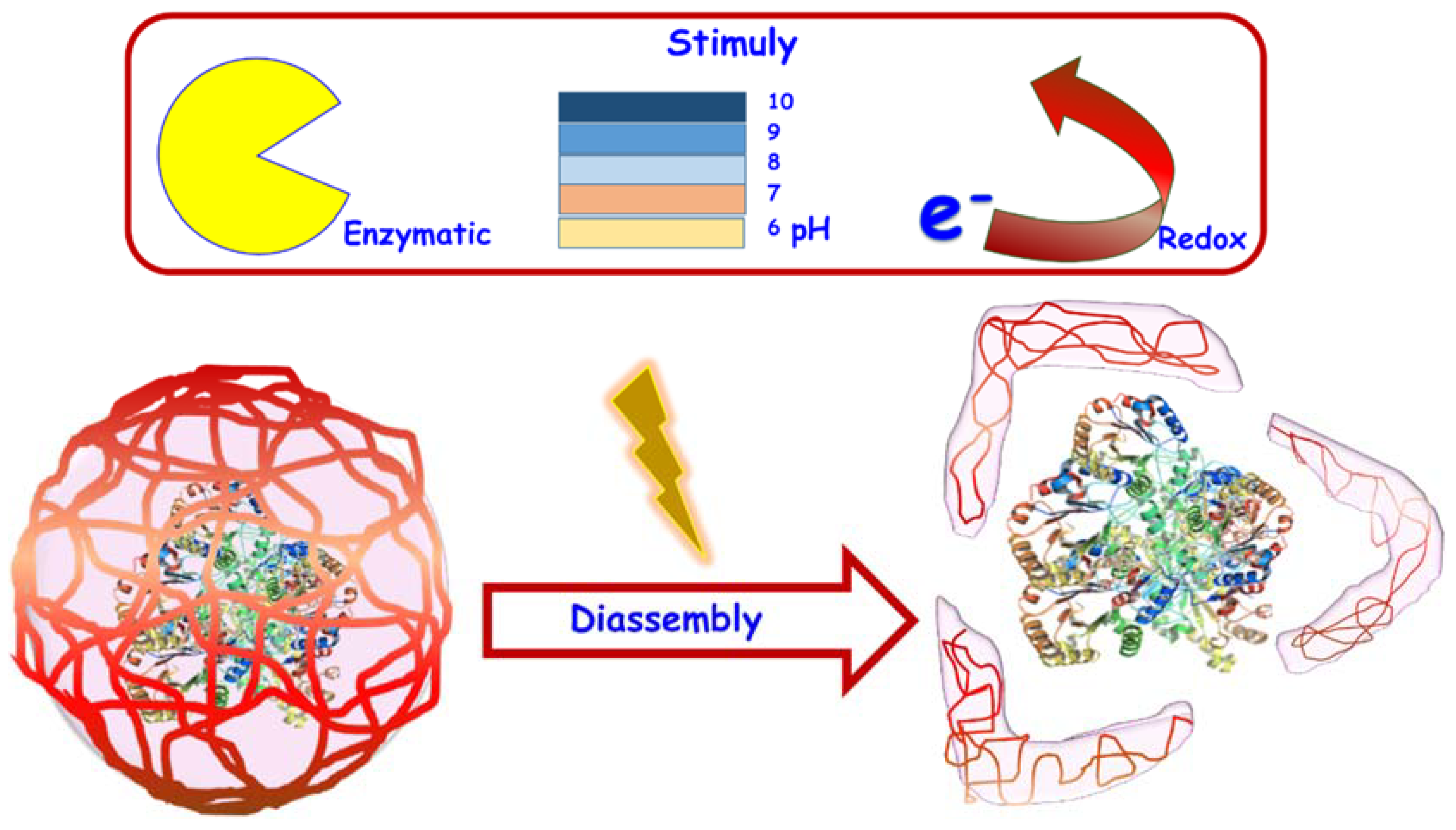 Molecules 23 01008 g005