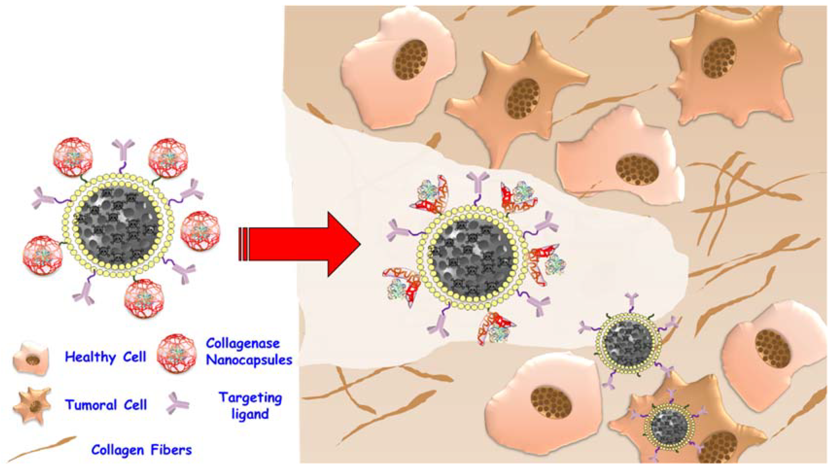 Molecules 23 01008 g006