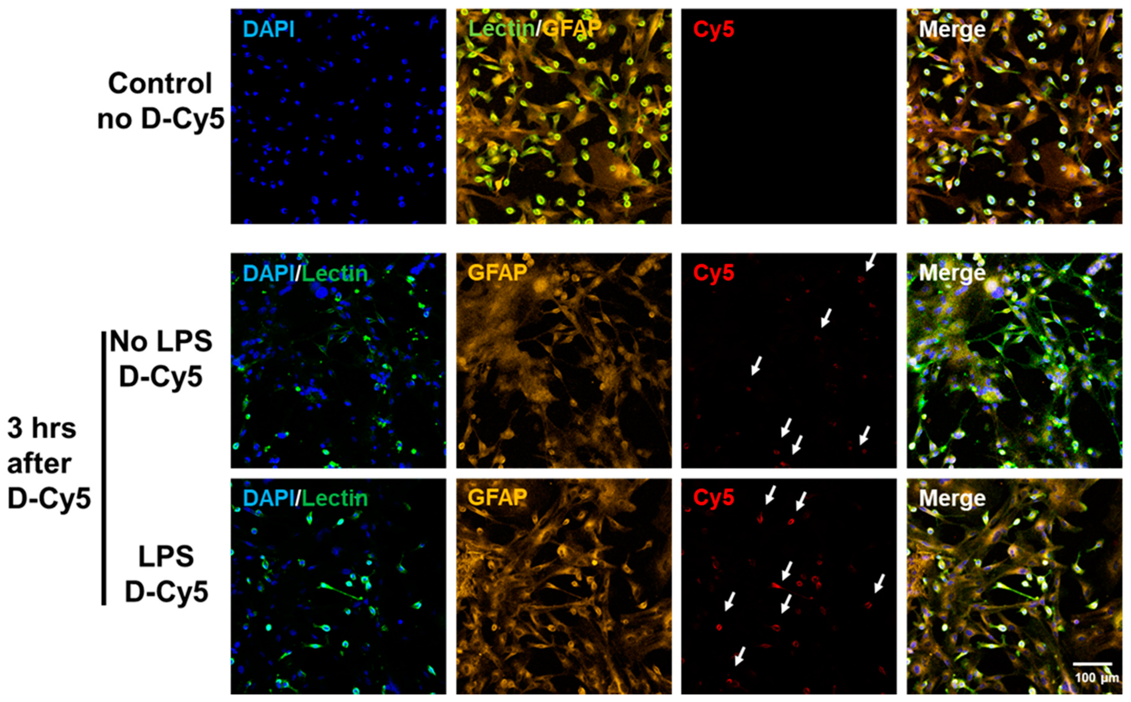 Molecules 23 01025 g002