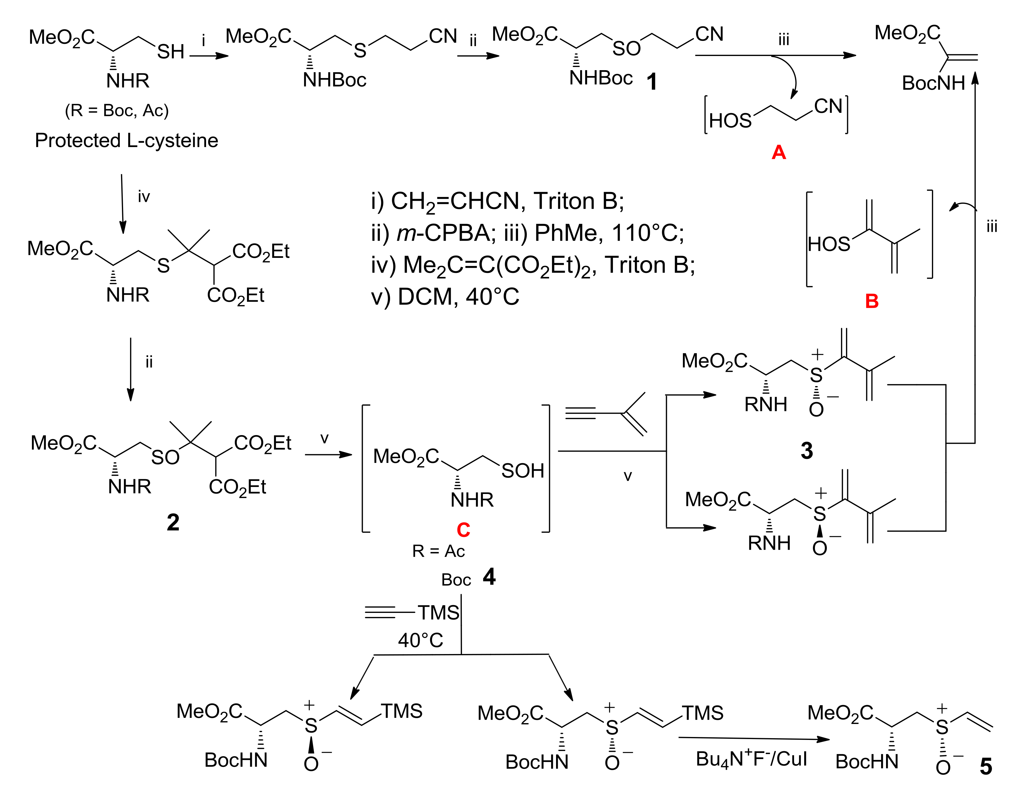 Molecules 23 01030 sch005