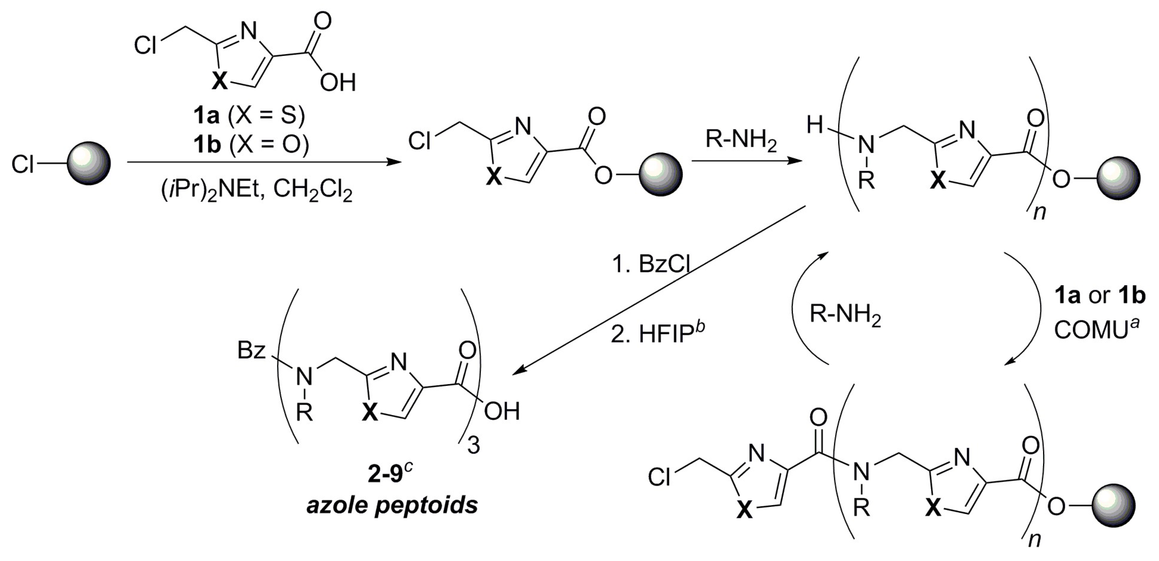 Molecules 23 01035 sch001
