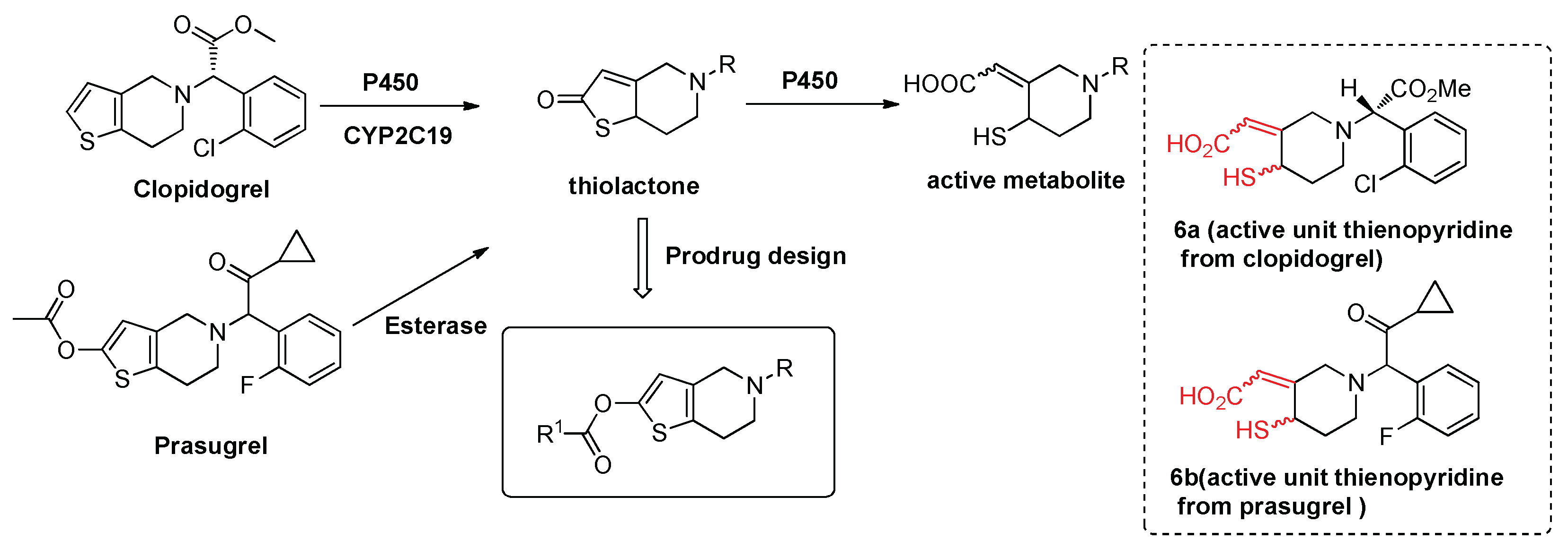 Molecules 23 01041 g002