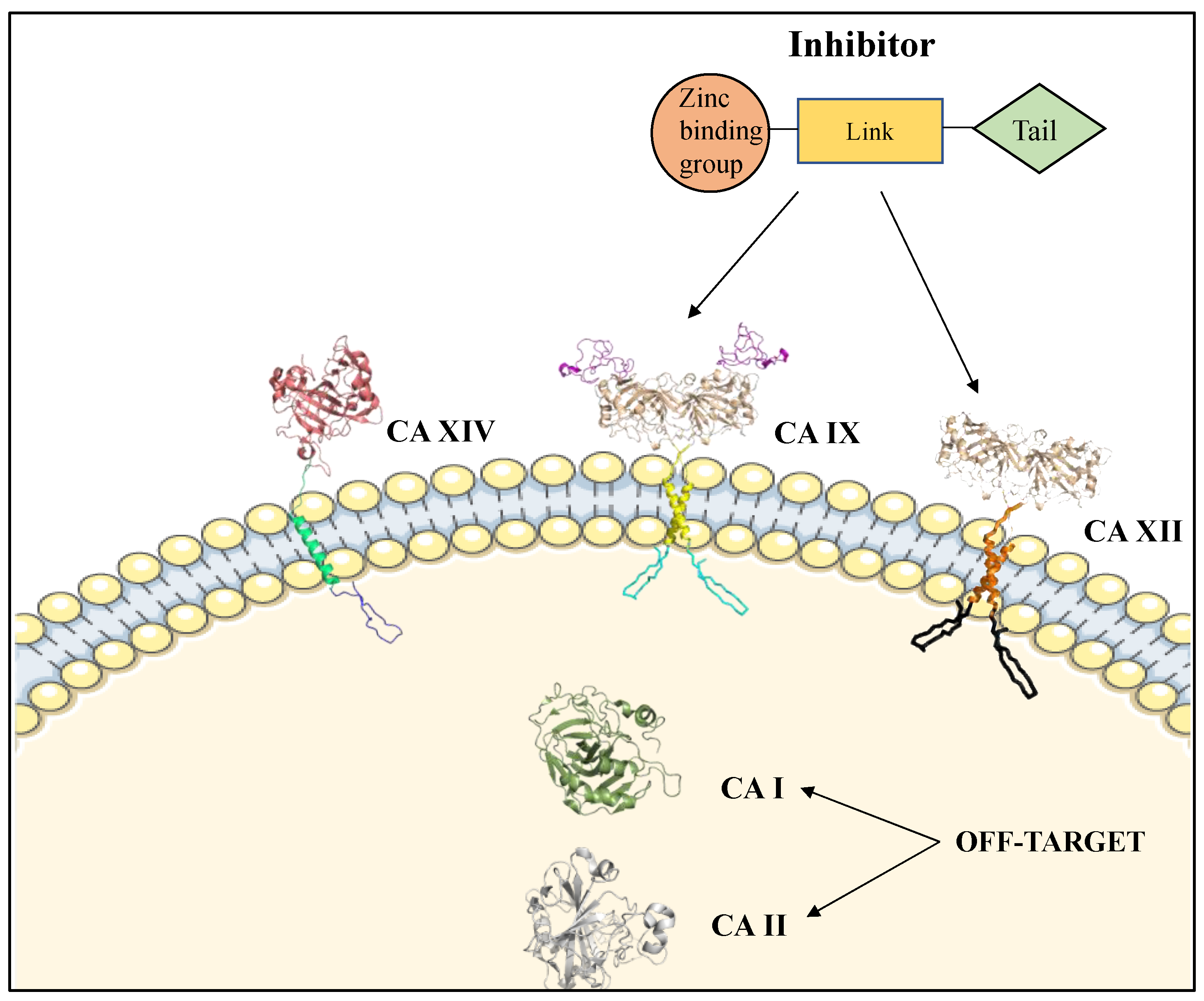 Molecules 23 01045 g004 Molecules 23 01045 g004