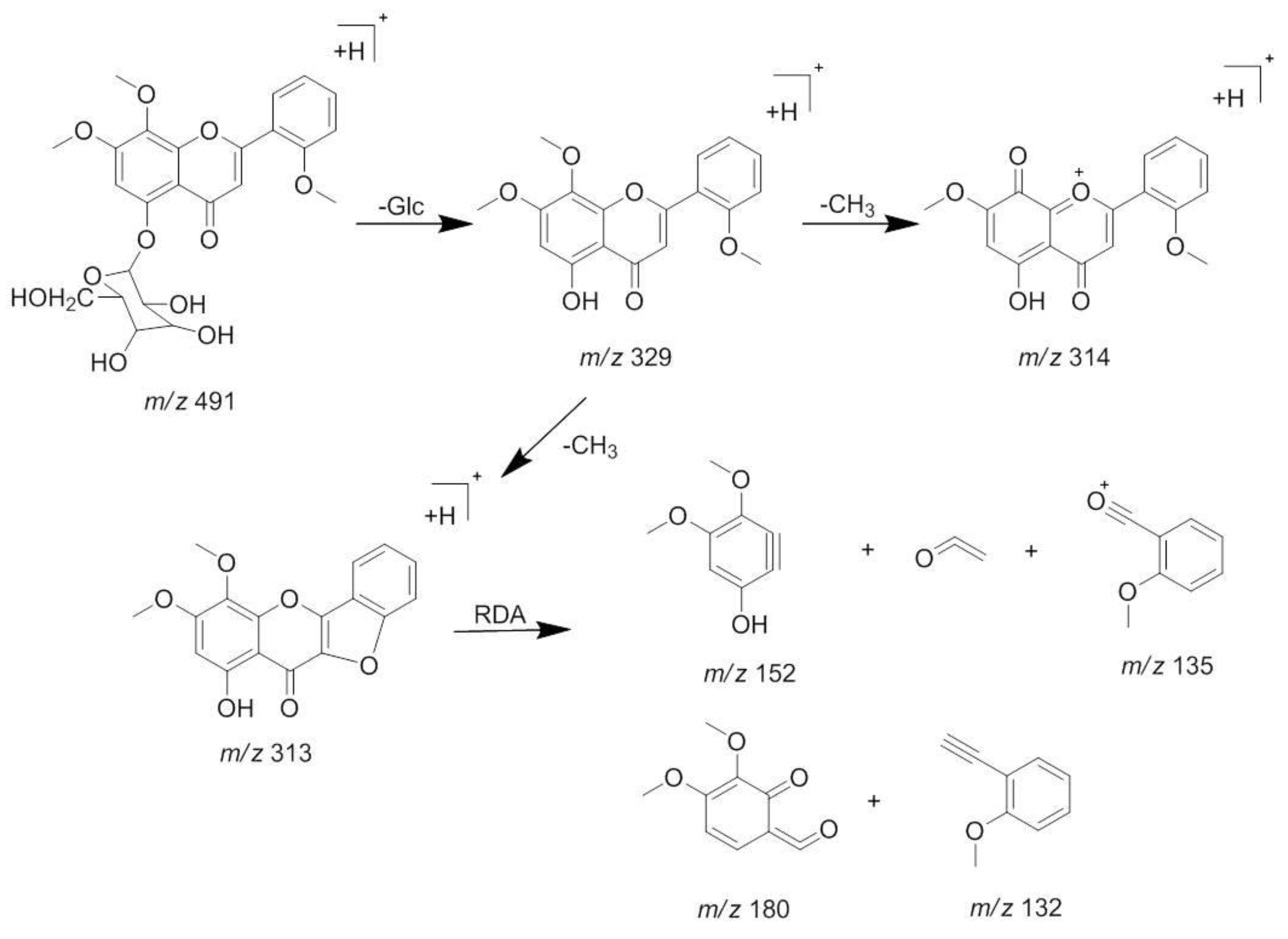 Molecules 23 01047 g004 Molecules 23 01047 g004