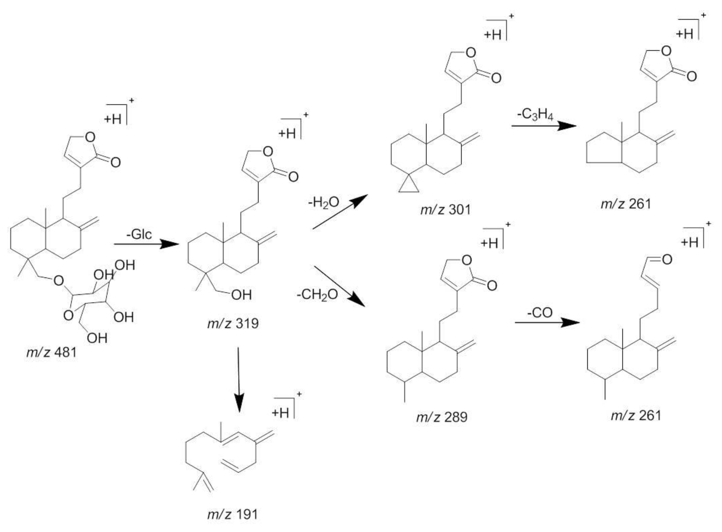 Molecules 23 01047 g006 Molecules 23 01047 g006