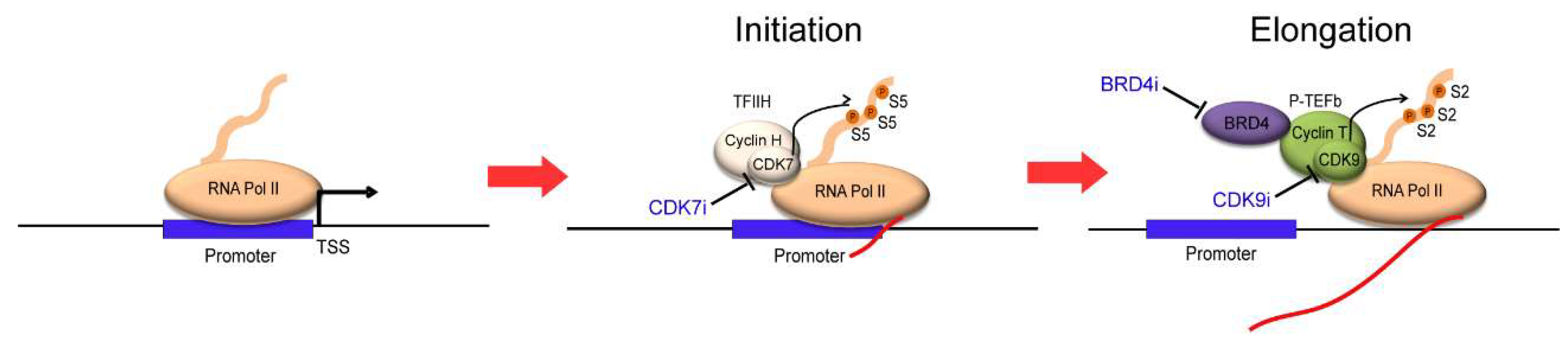 Molecules 23 01057 g003 Molecules 23 01057 g003