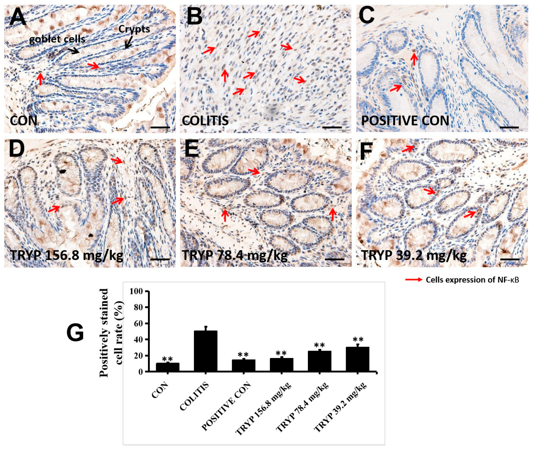 Molecules 23 01062 g005