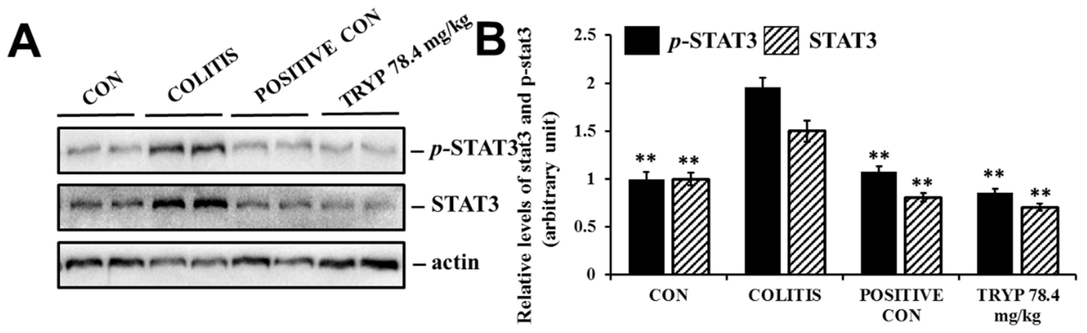 Molecules 23 01062 g008