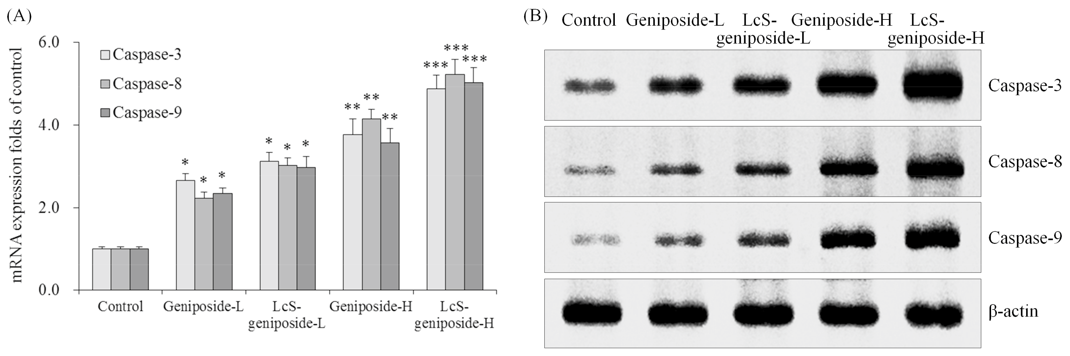 Molecules 23 01069 g003