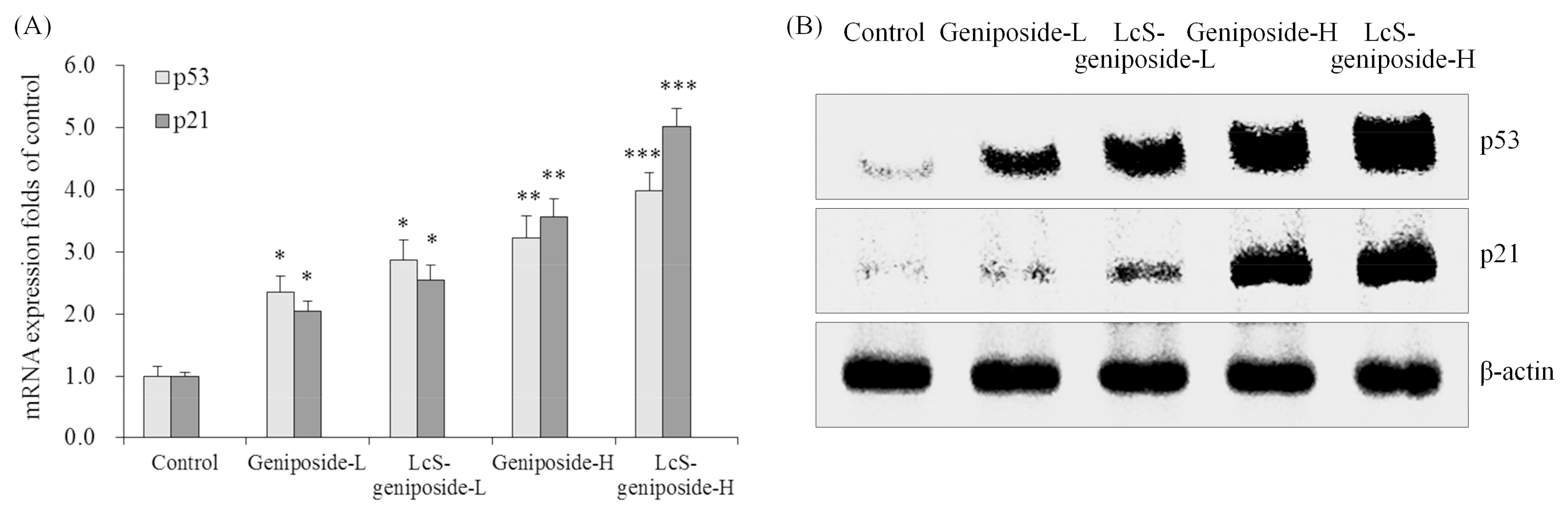 Molecules 23 01069 g005