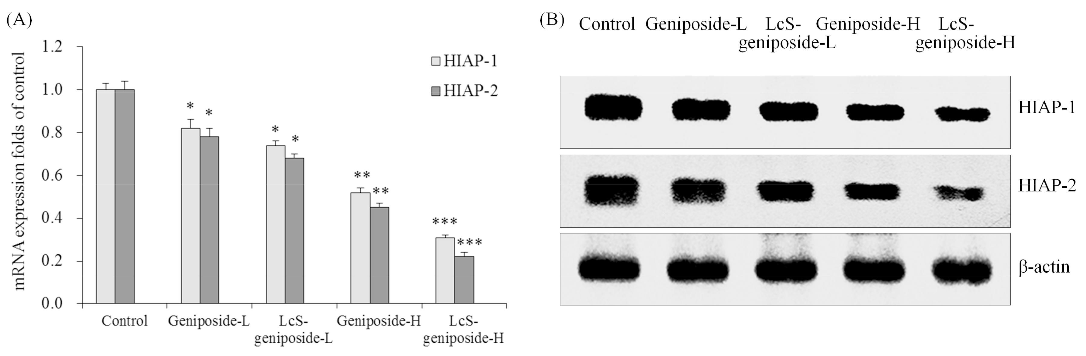 Molecules 23 01069 g006