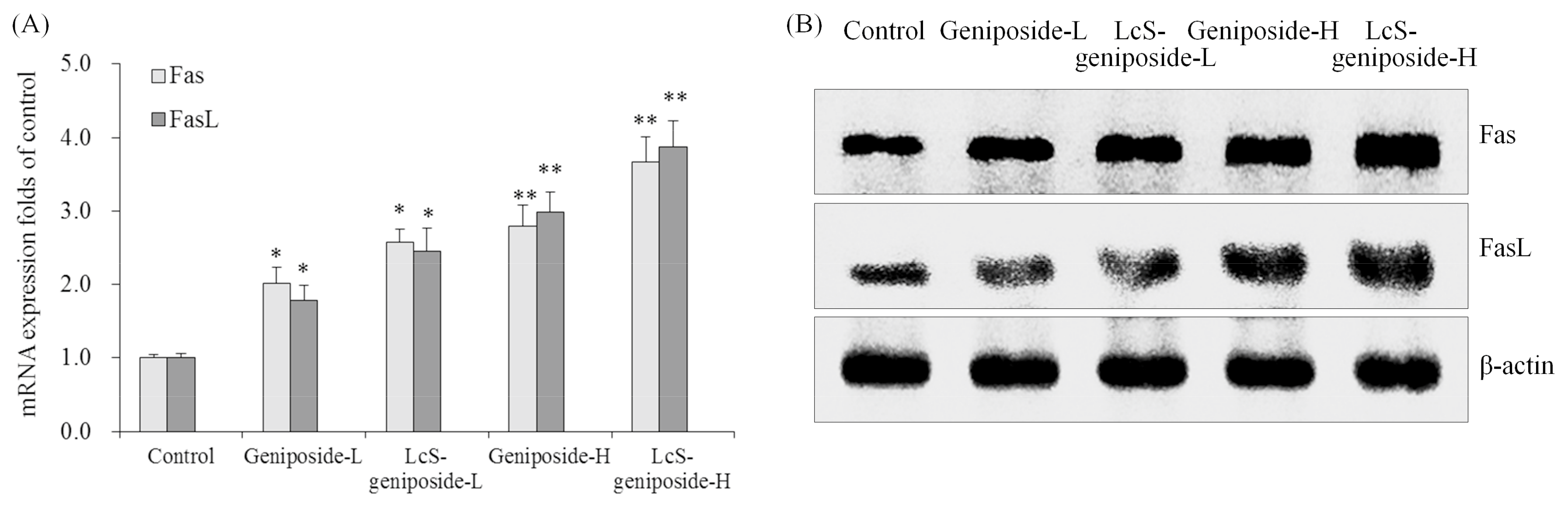 Molecules 23 01069 g008