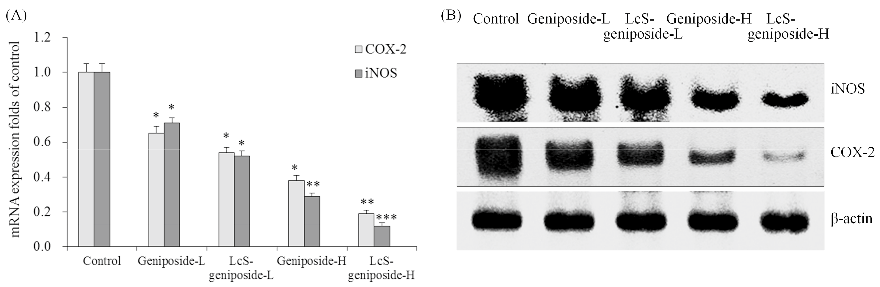 Molecules 23 01069 g010