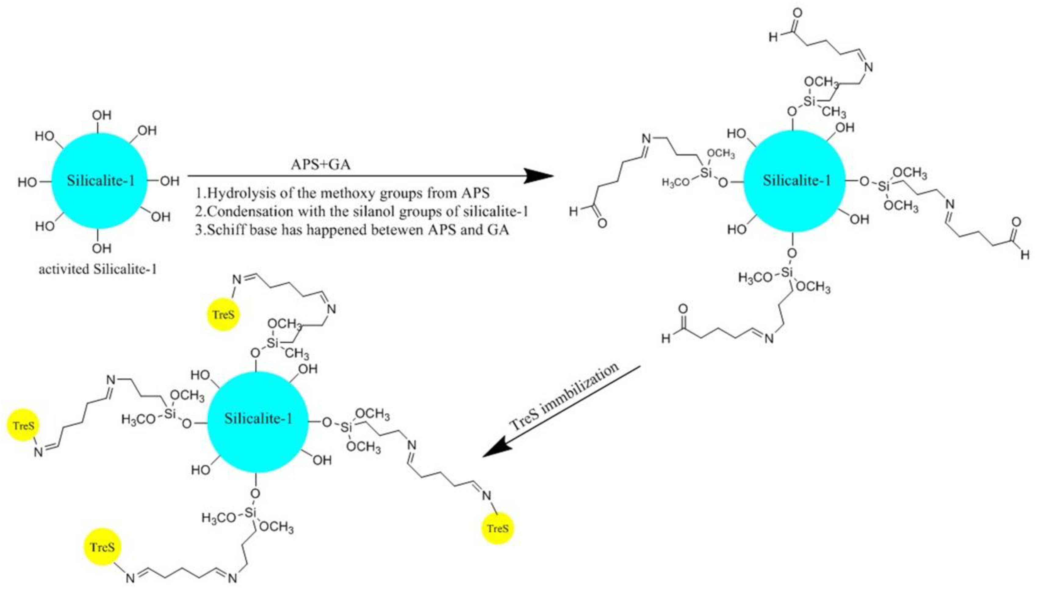 Molecules 23 01087 g001 Molecules 23 01087 g001