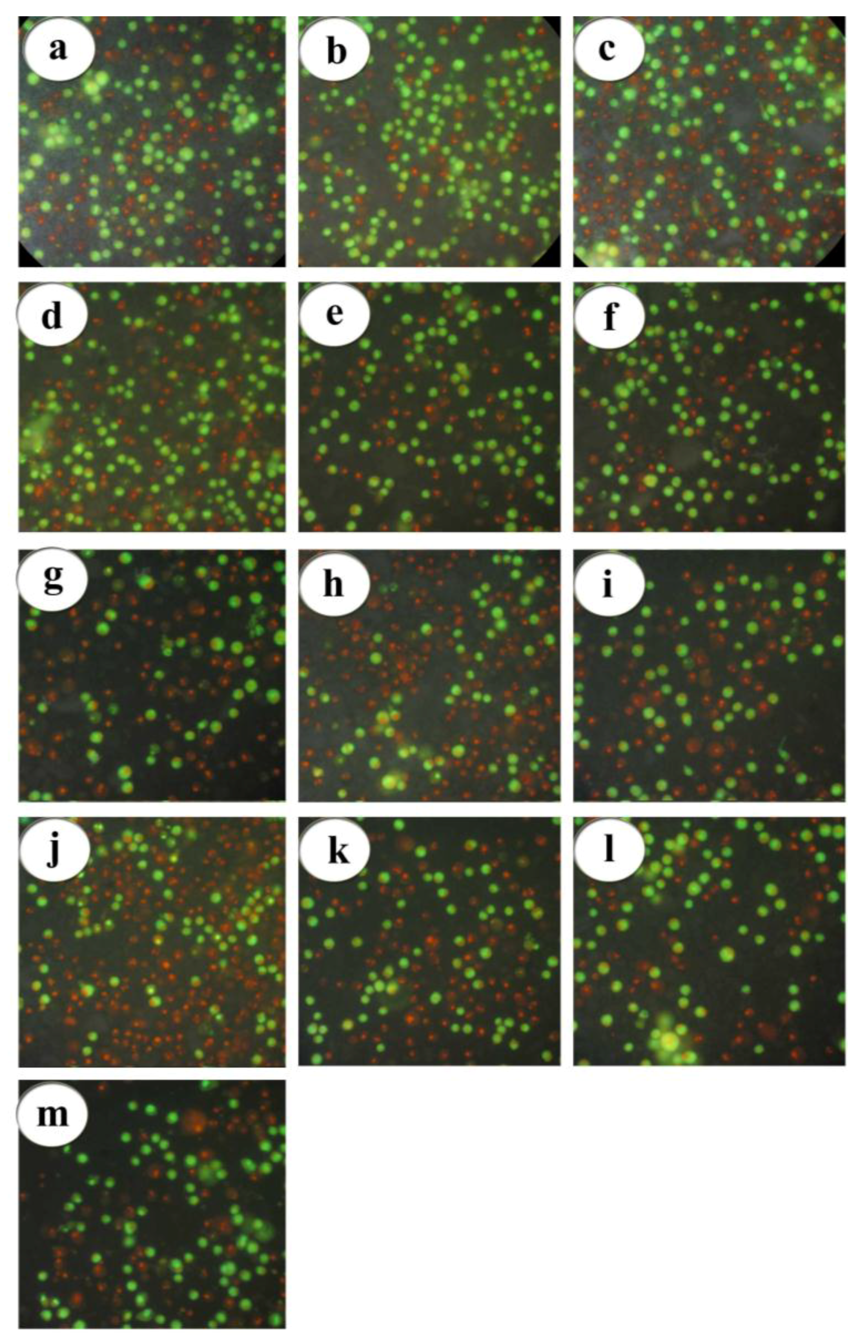 Molecules 23 01094 g007
