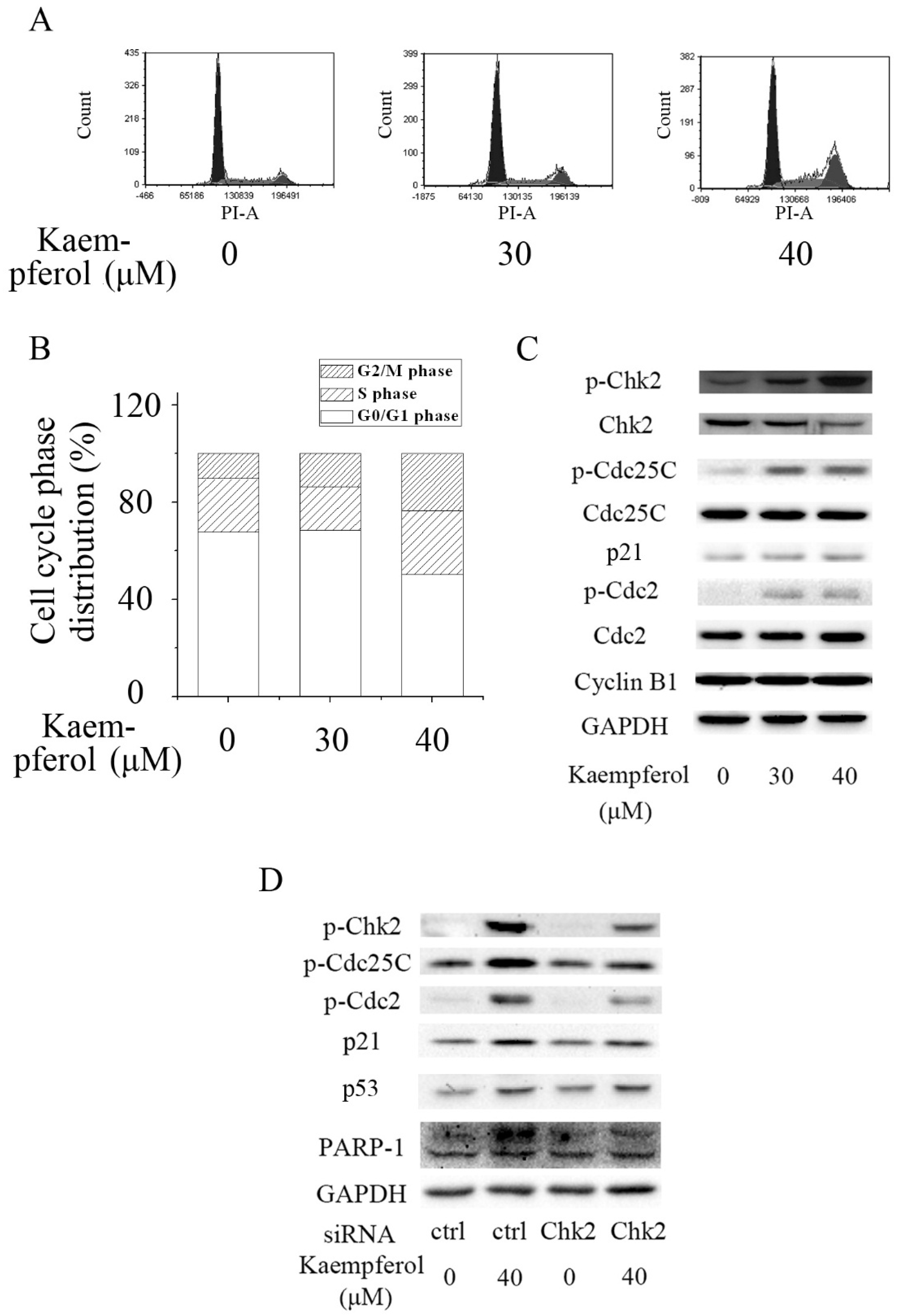Molecules 23 01095 g002