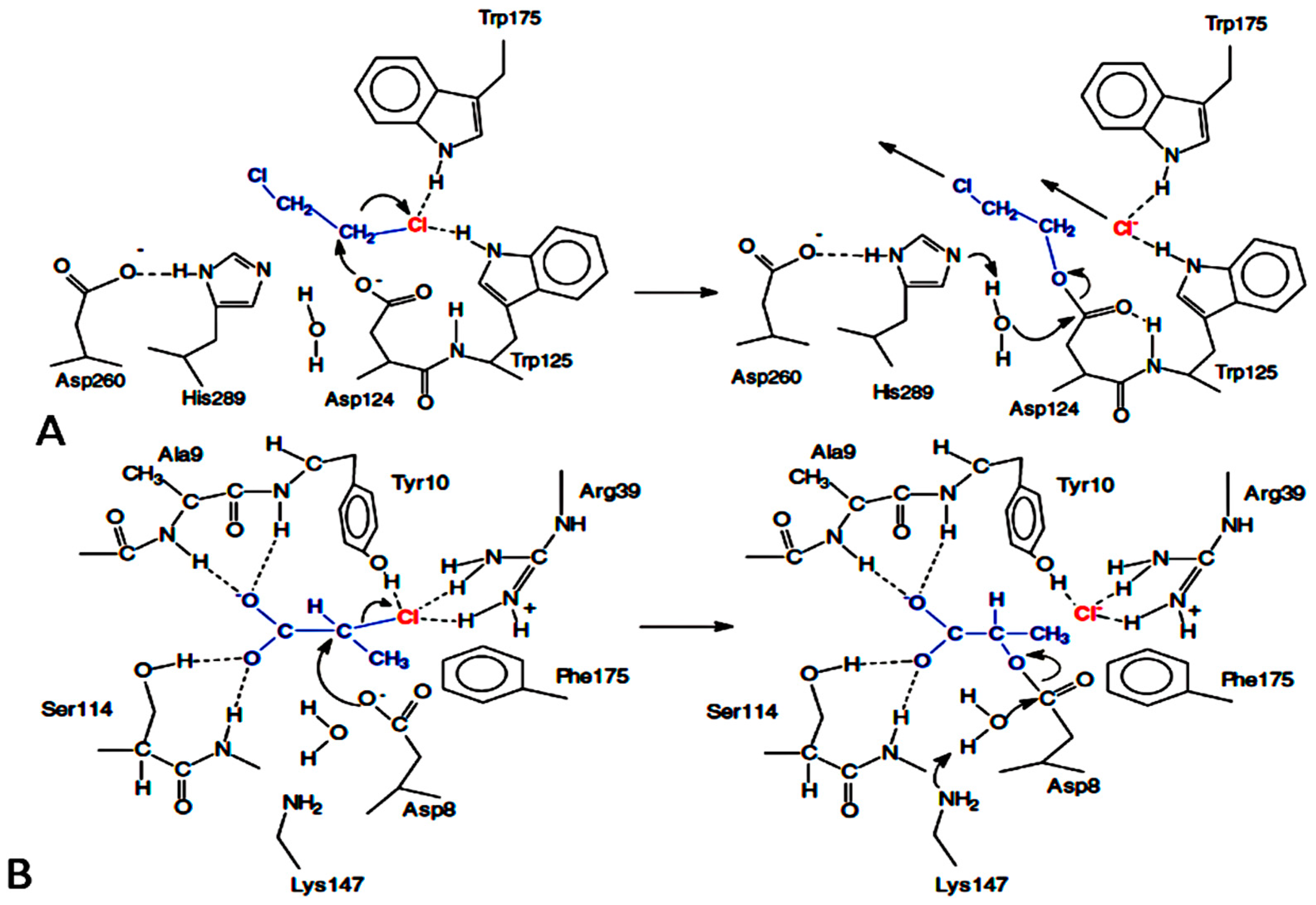 Molecules 23 01100 g001 Molecules 23 01100 g001