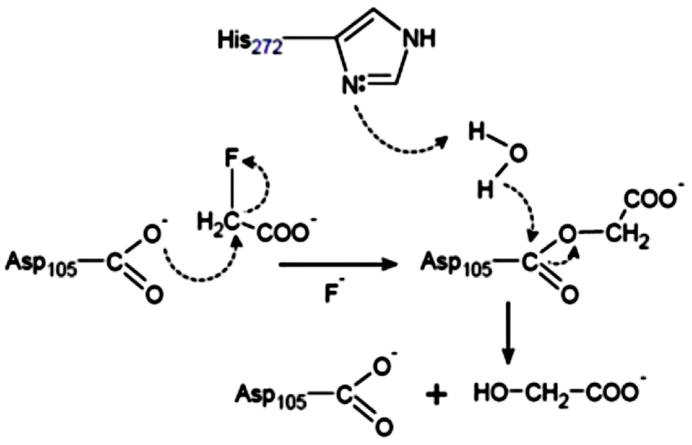 Molecules 23 01100 g003 Molecules 23 01100 g003