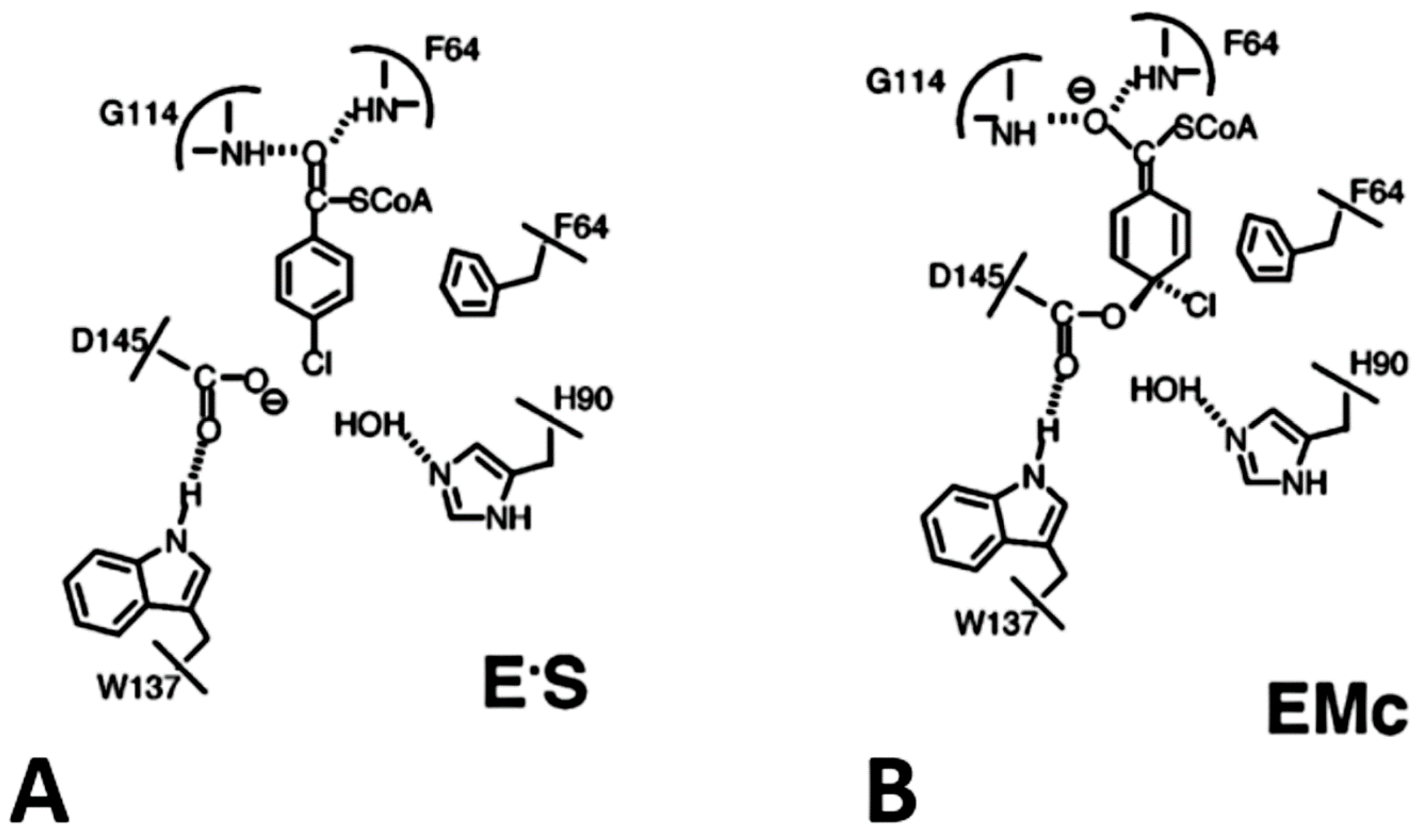 Molecules 23 01100 g004 Molecules 23 01100 g004