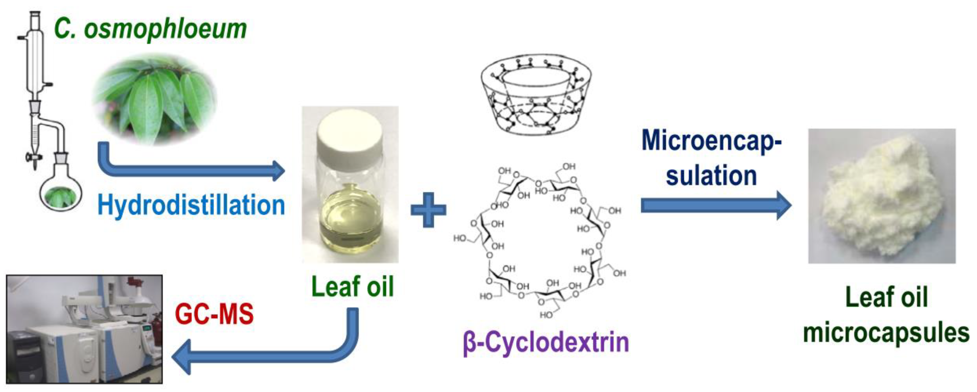 Molecules 23 01107 g001