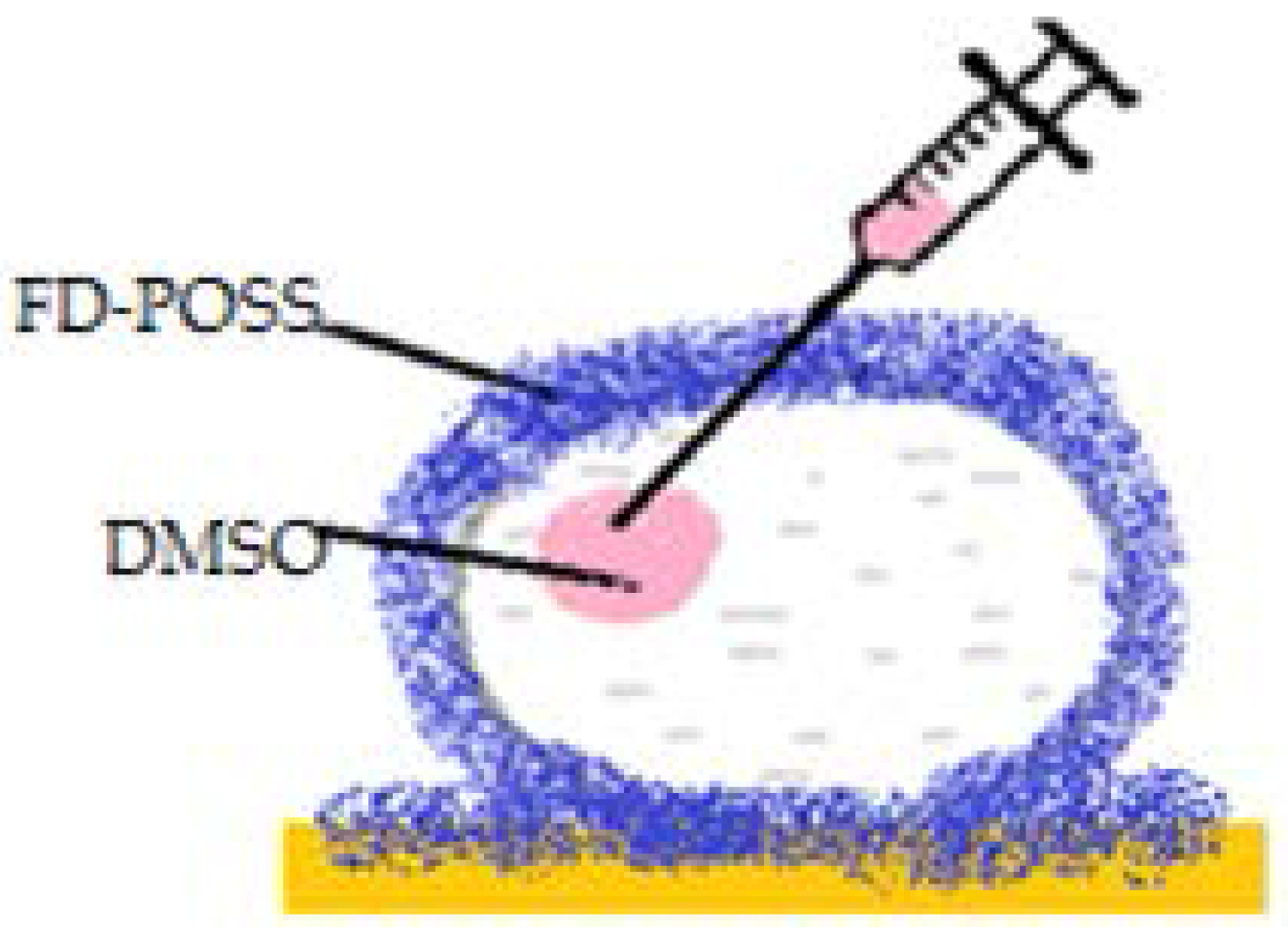 Molecules 23 01120 g008