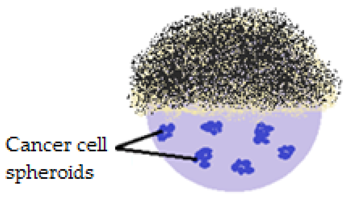 Molecules 23 01120 g018