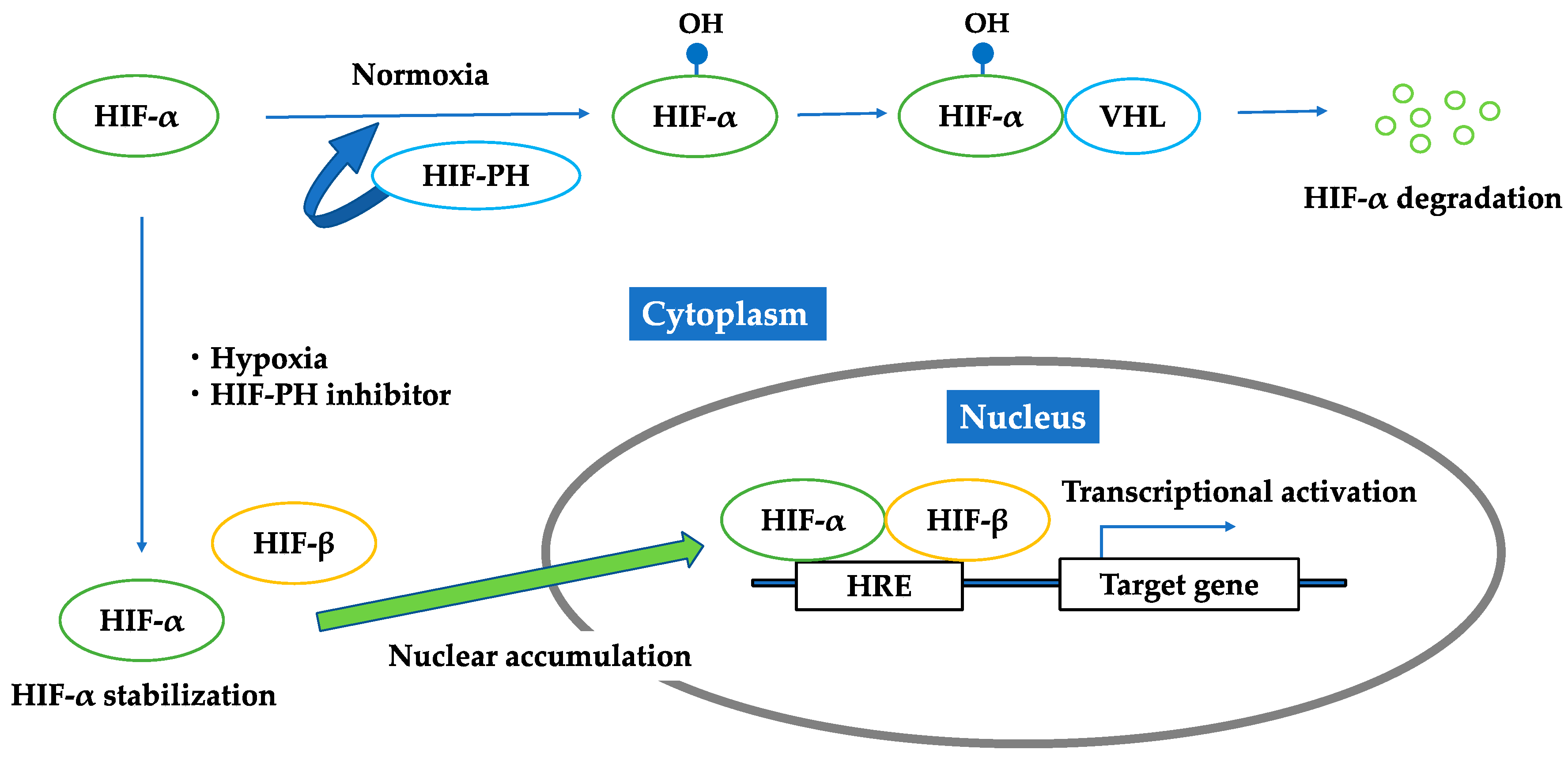 Molecules 23 01123 g003 Molecules 23 01123 g003
