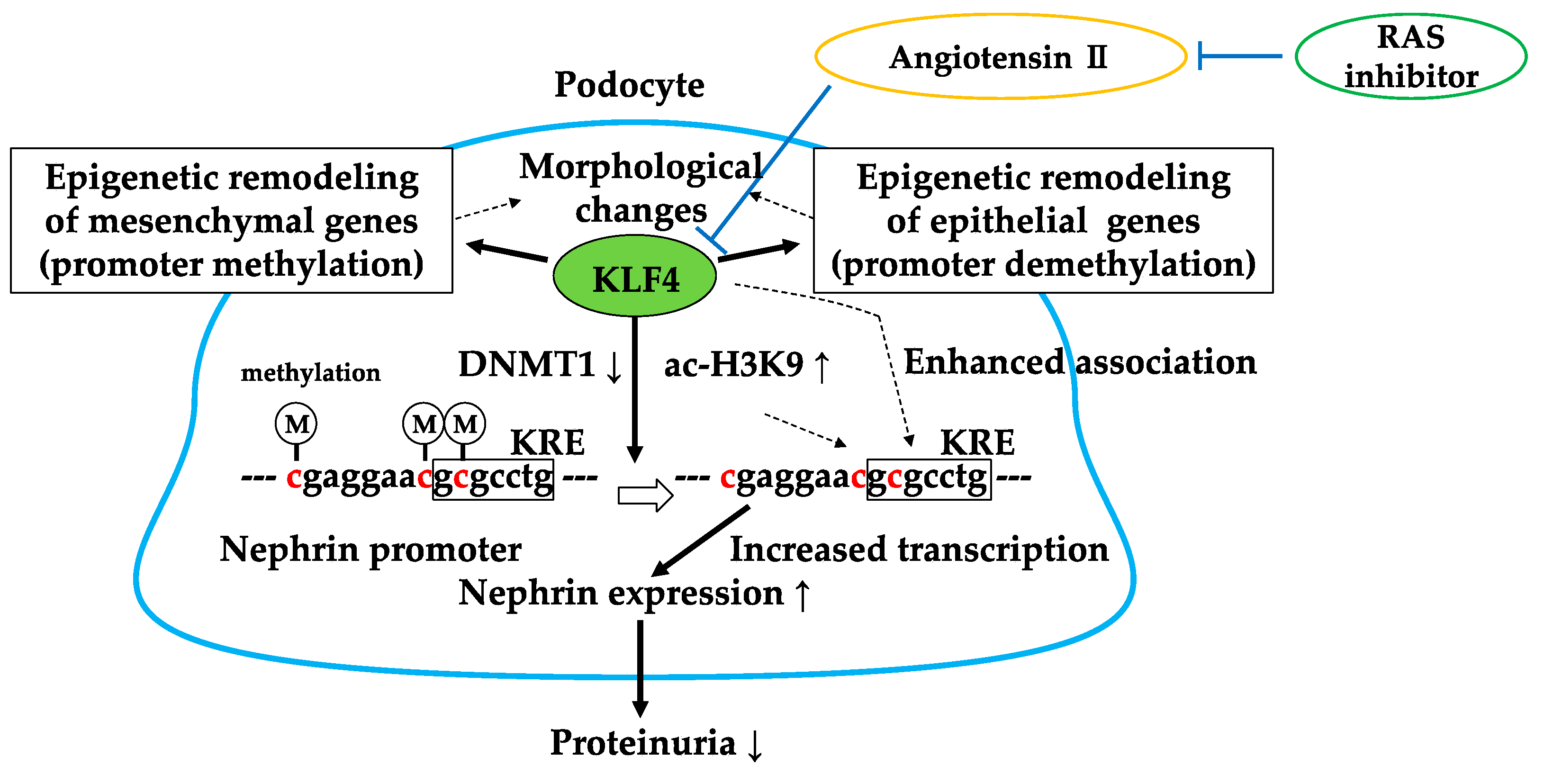 Molecules 23 01123 g005 Molecules 23 01123 g005