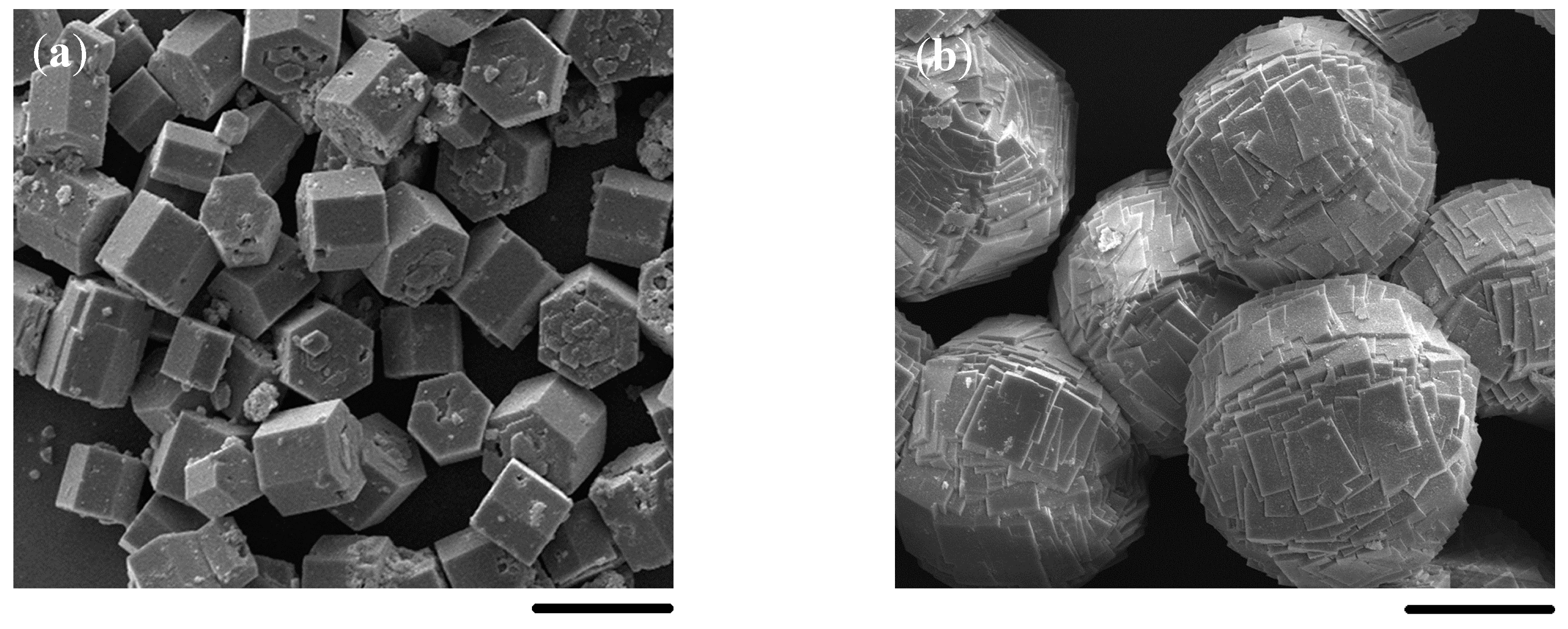 Molecules 23 01127 g006