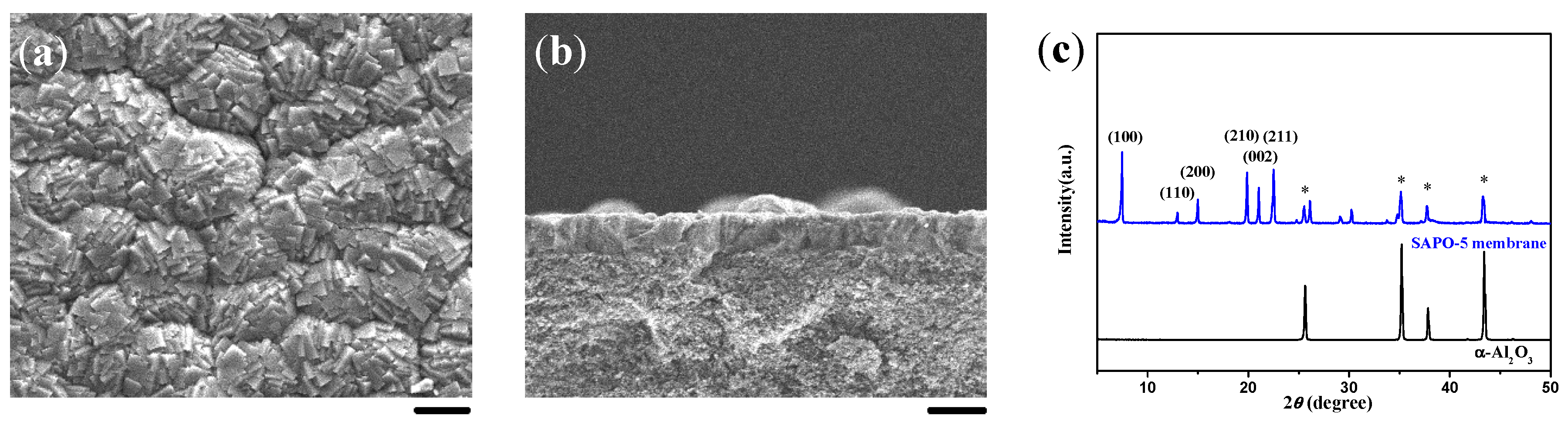 Molecules 23 01127 g007a