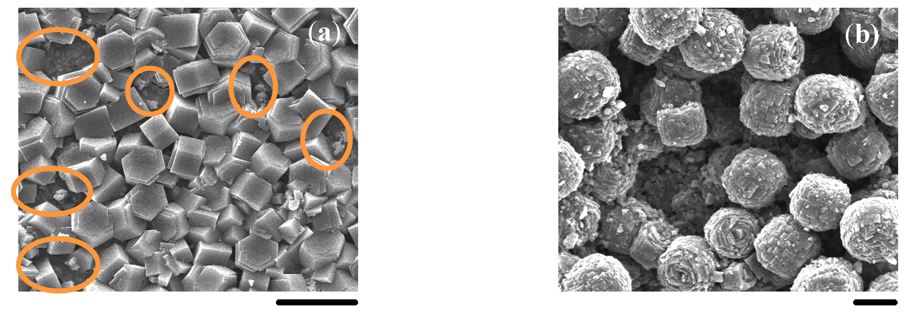 Molecules 23 01127 g011