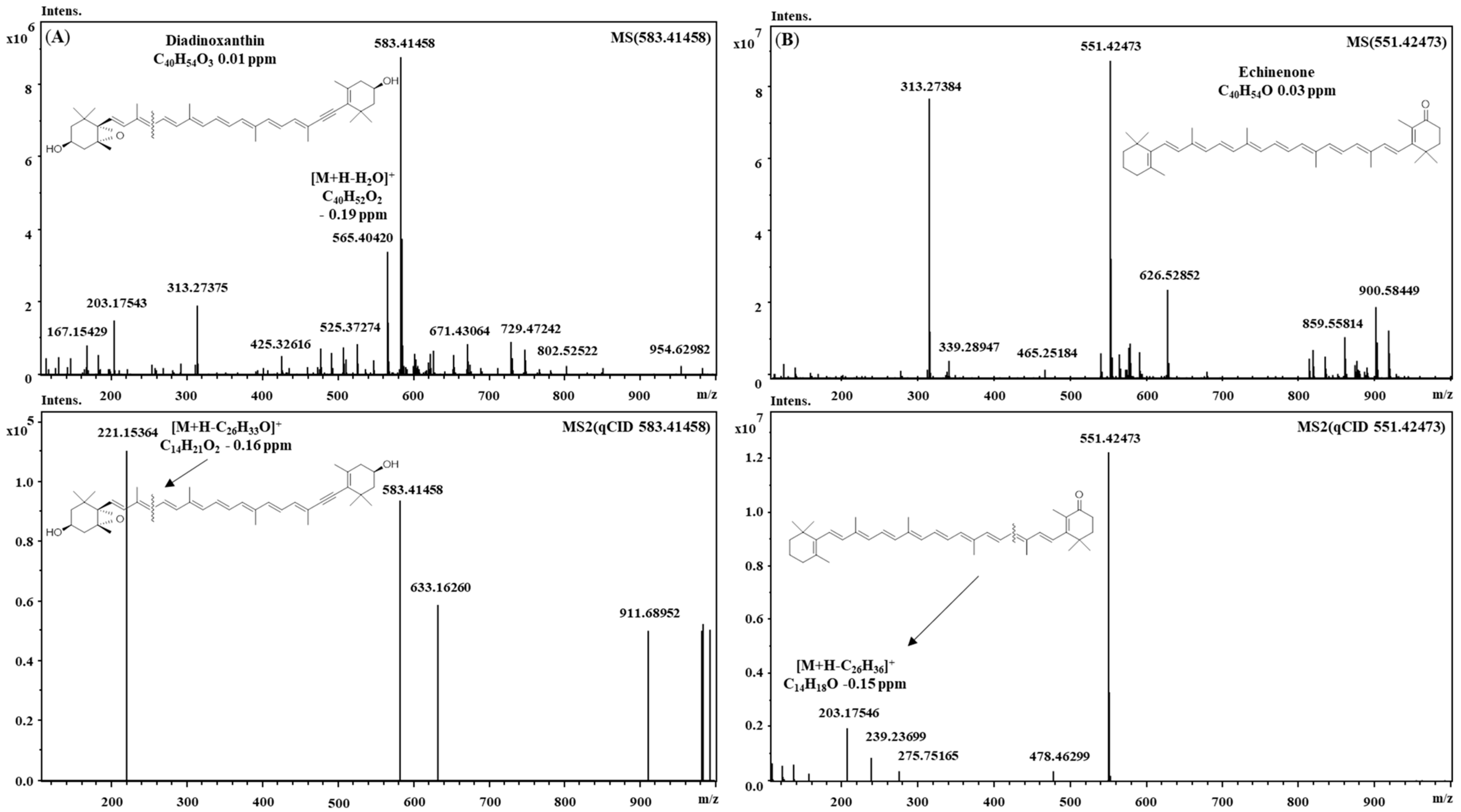 Molecules 23 01152 g001 Molecules 23 01152 g001