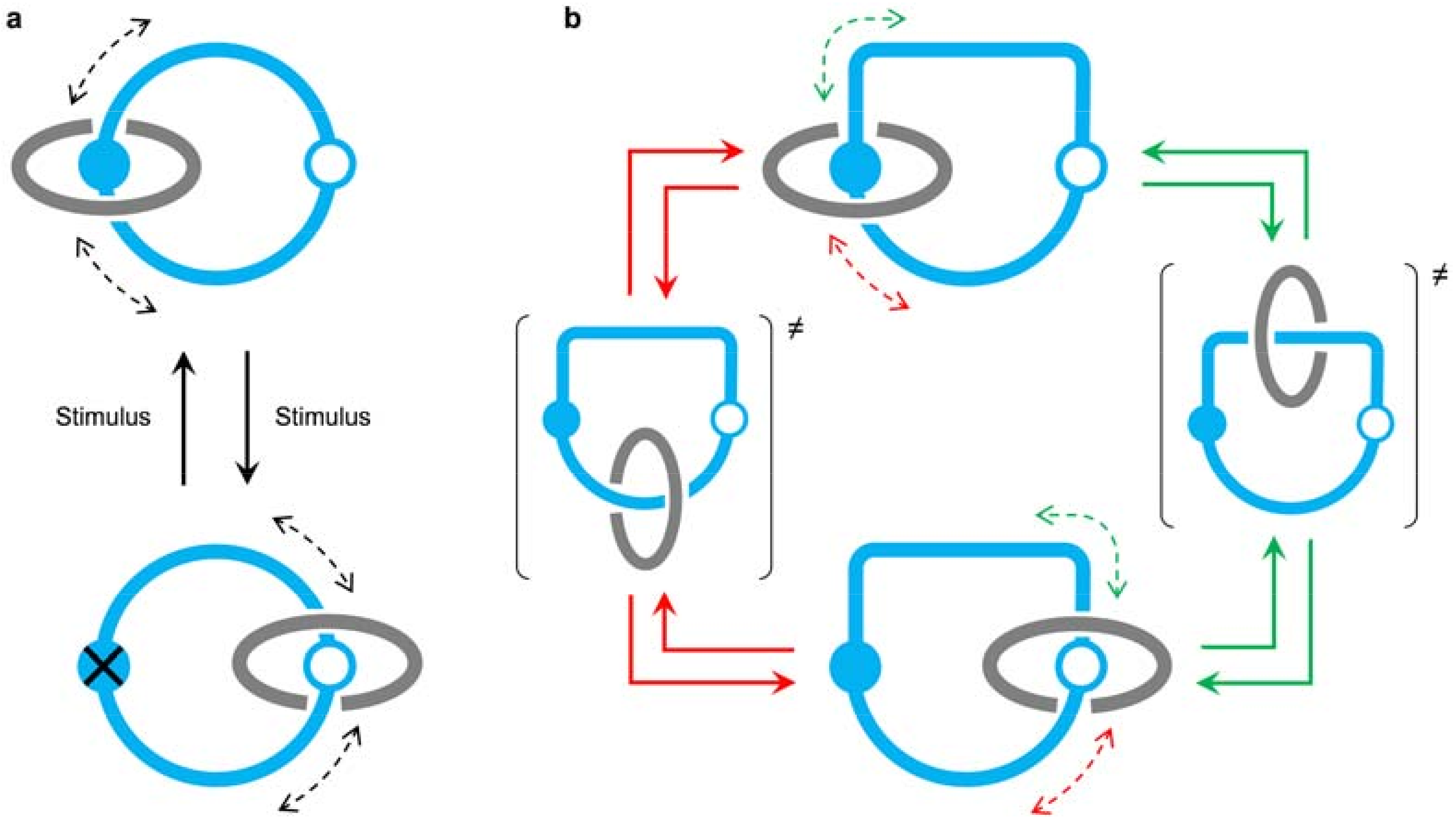 Molecules 23 01156 g001
