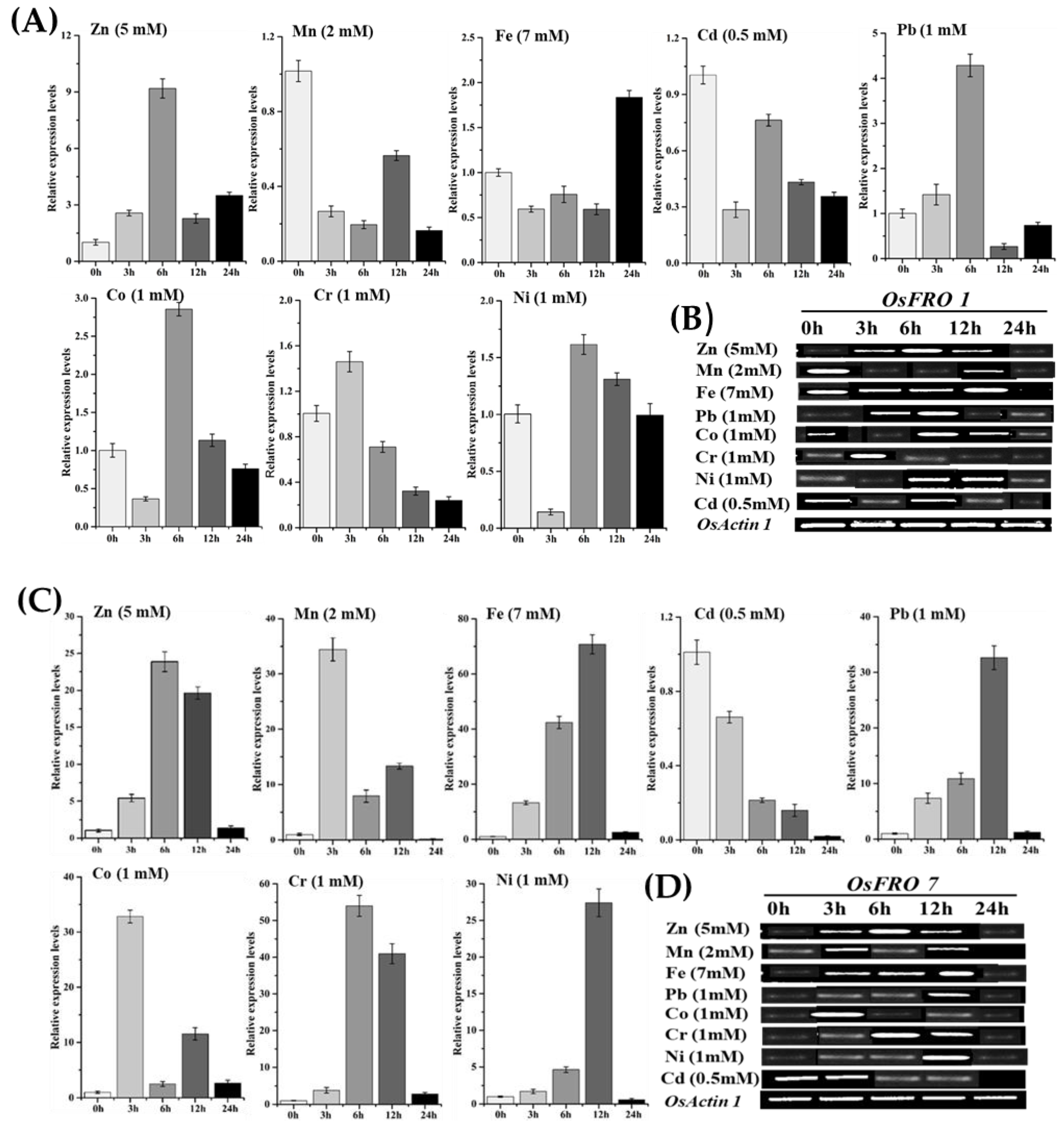 Molecules 23 01163 g006