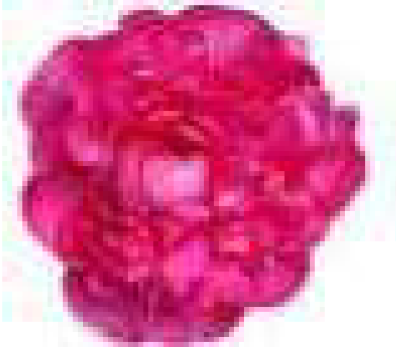 Molecules 23 01164 i006