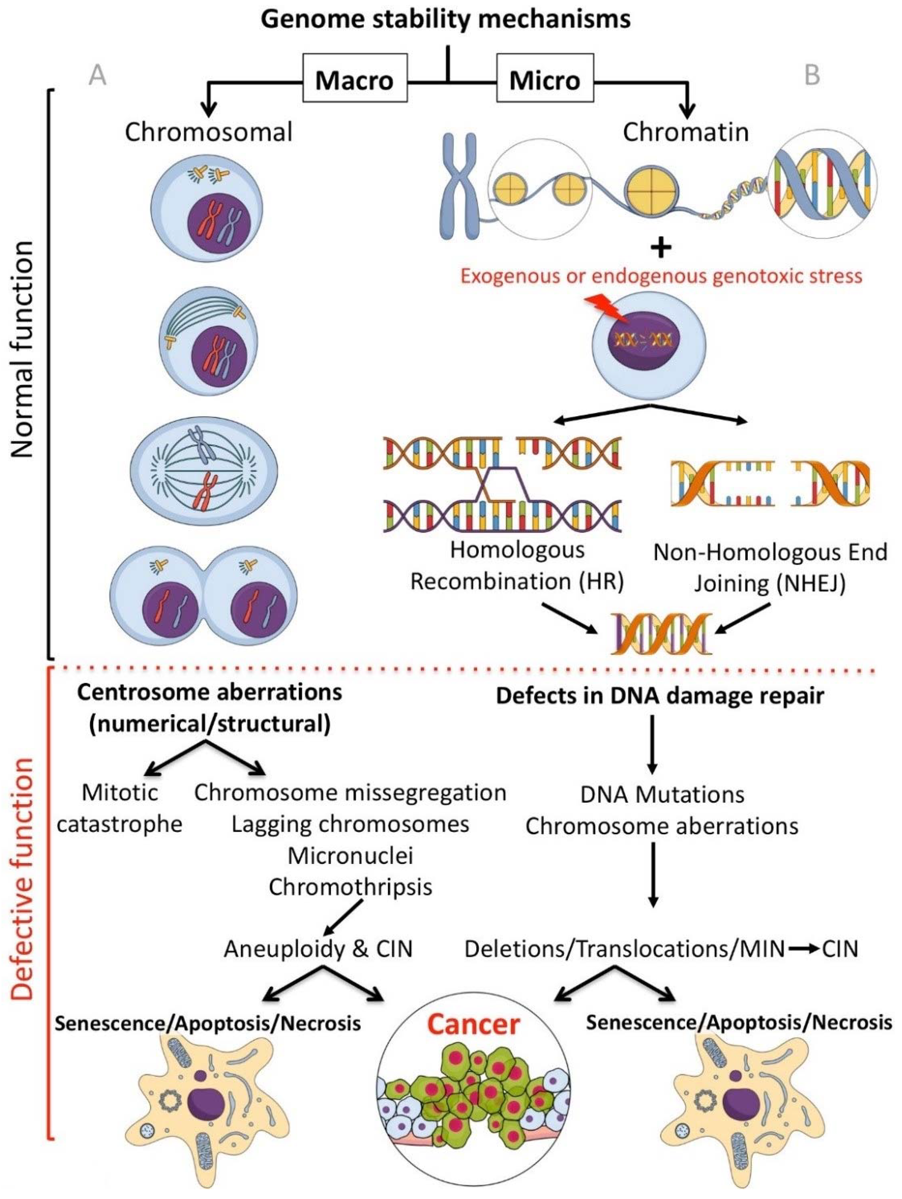 Molecules 23 01166 g001 Molecules 23 01166 g001