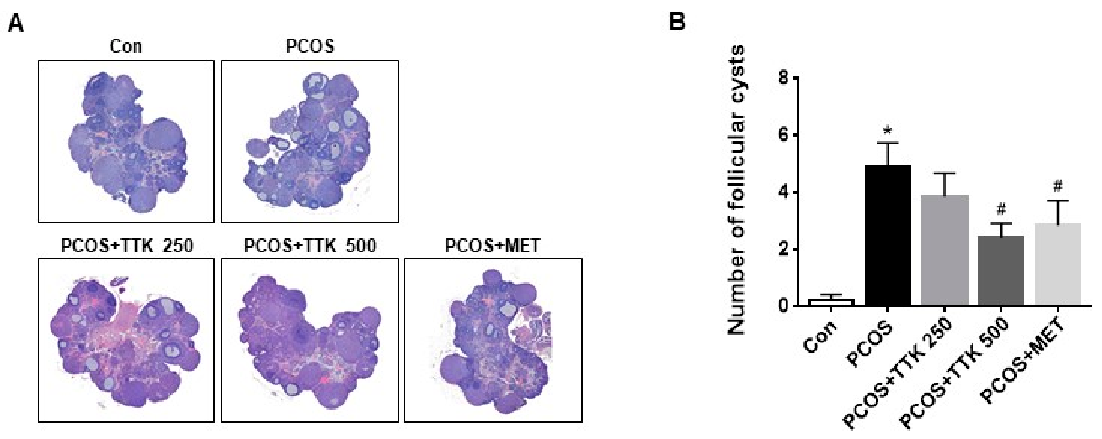 Molecules 23 01173 g004 Molecules 23 01173 g004