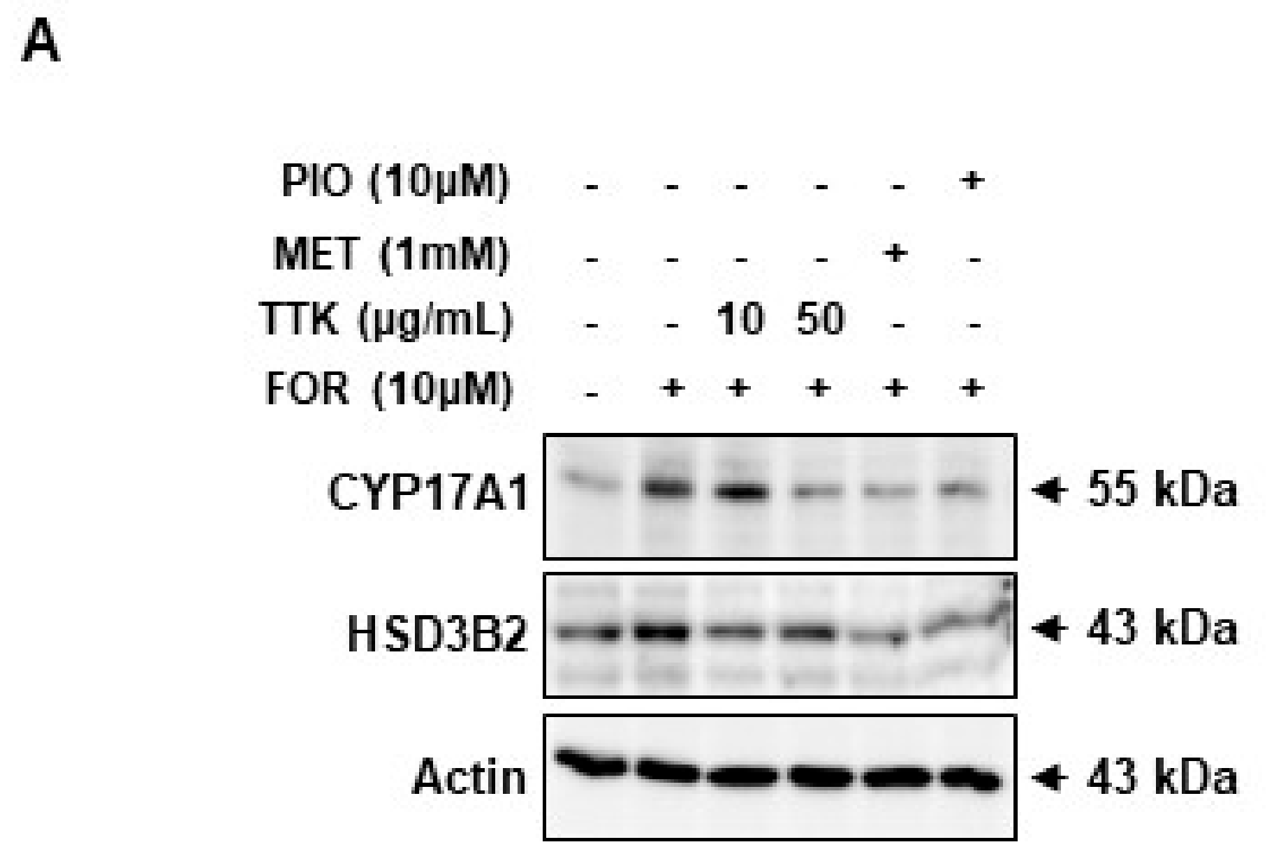 Molecules 23 01173 g006a Molecules 23 01173 g006a