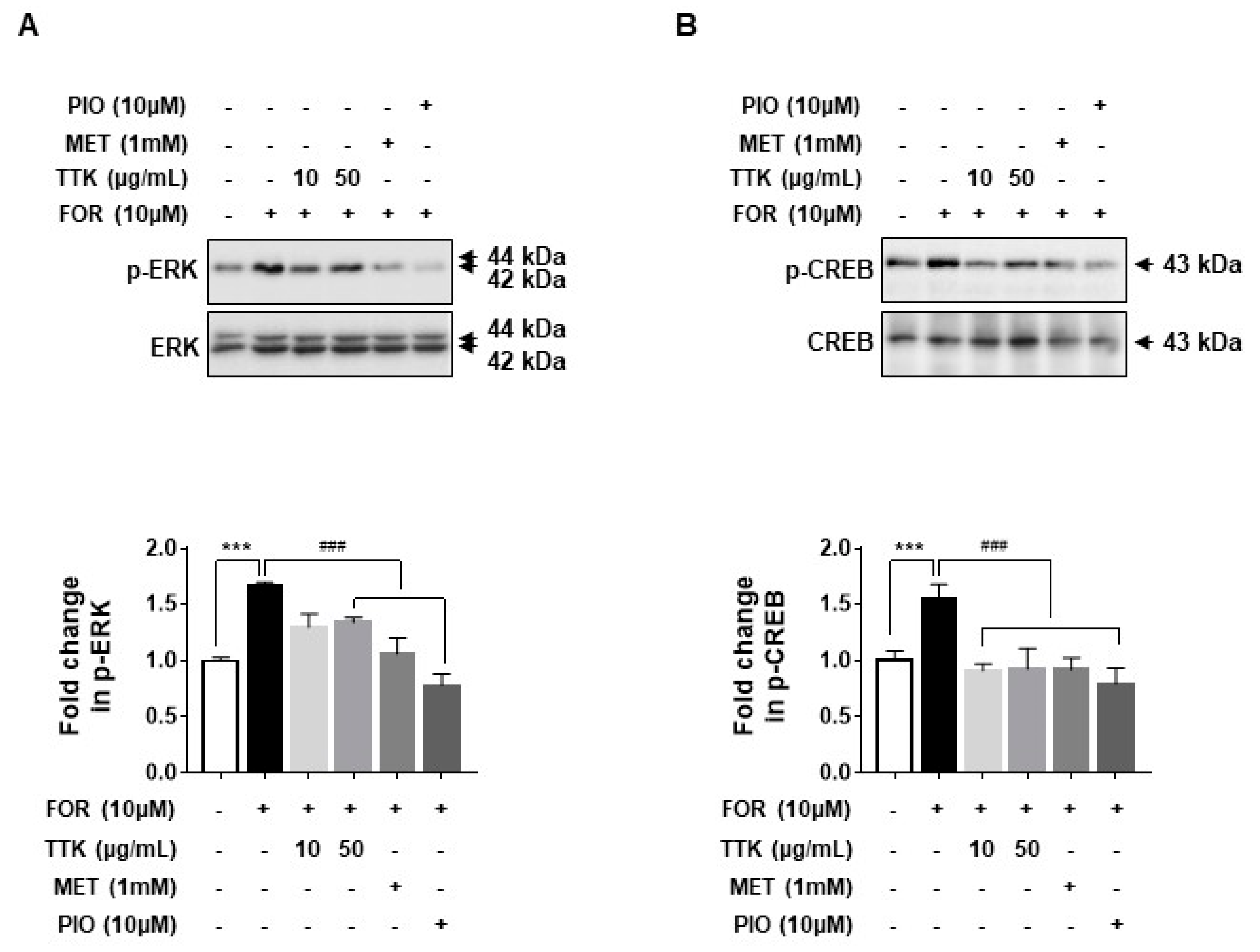 Molecules 23 01173 g007 Molecules 23 01173 g007