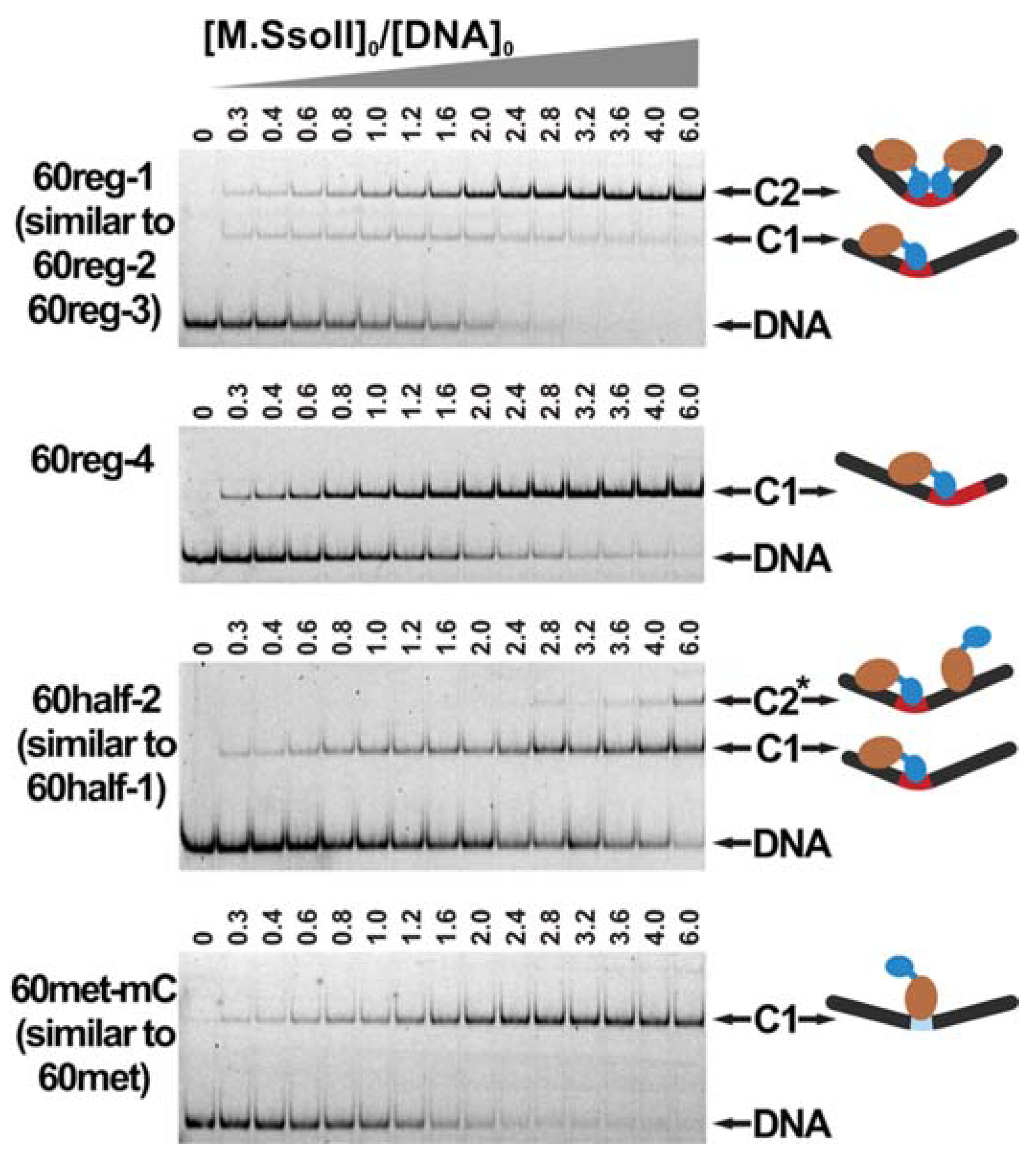 Molecules 23 01192 g003