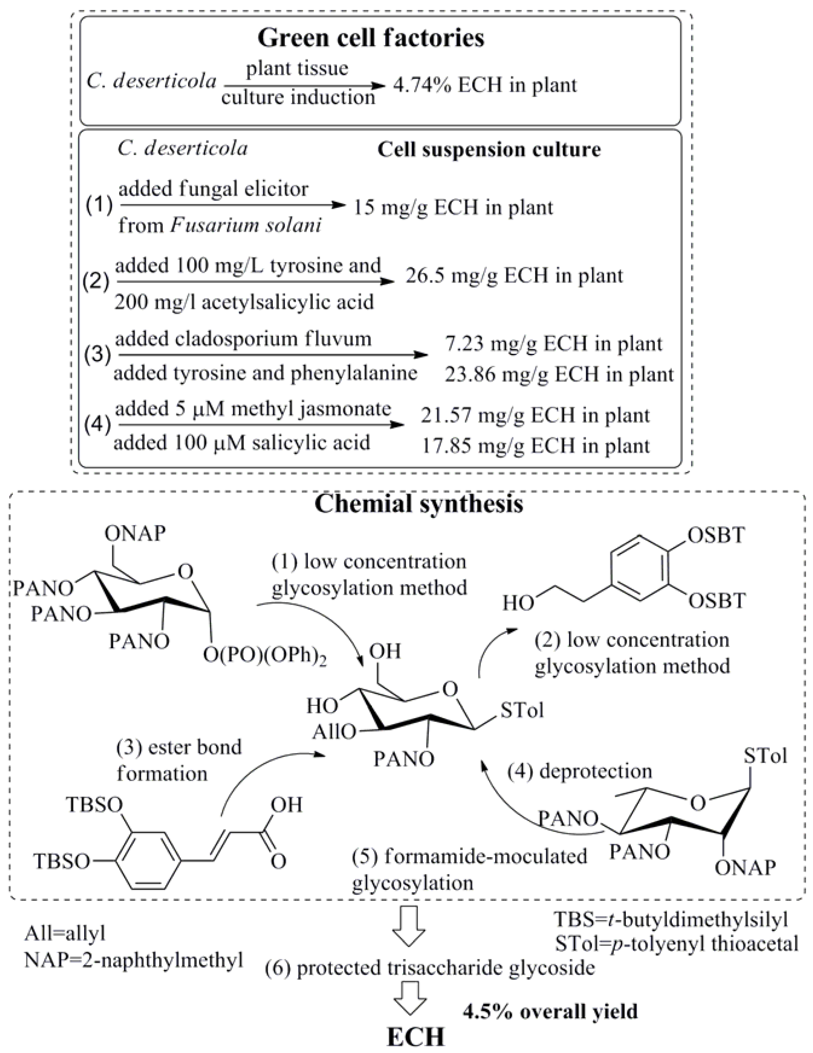 Molecules 23 01213 g003b Molecules 23 01213 g003b