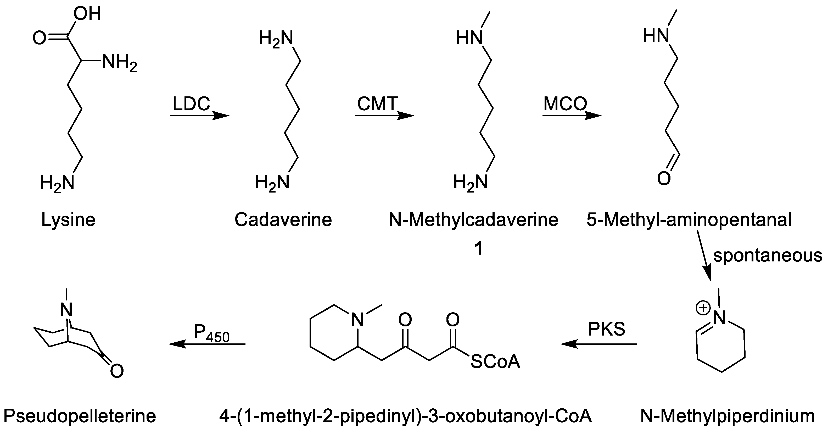 Molecules 23 01216 g002
