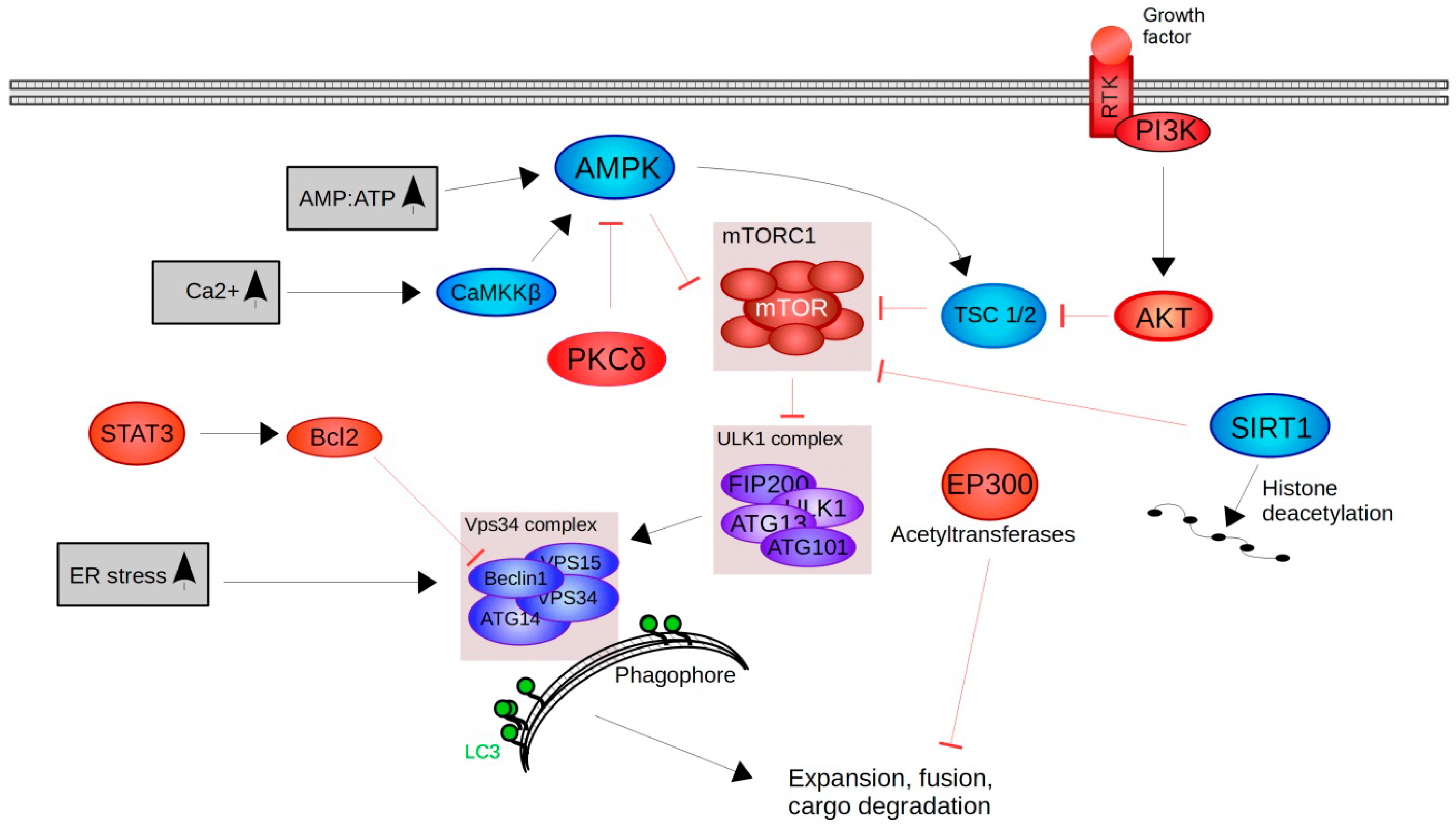 Molecules 23 01219 g002