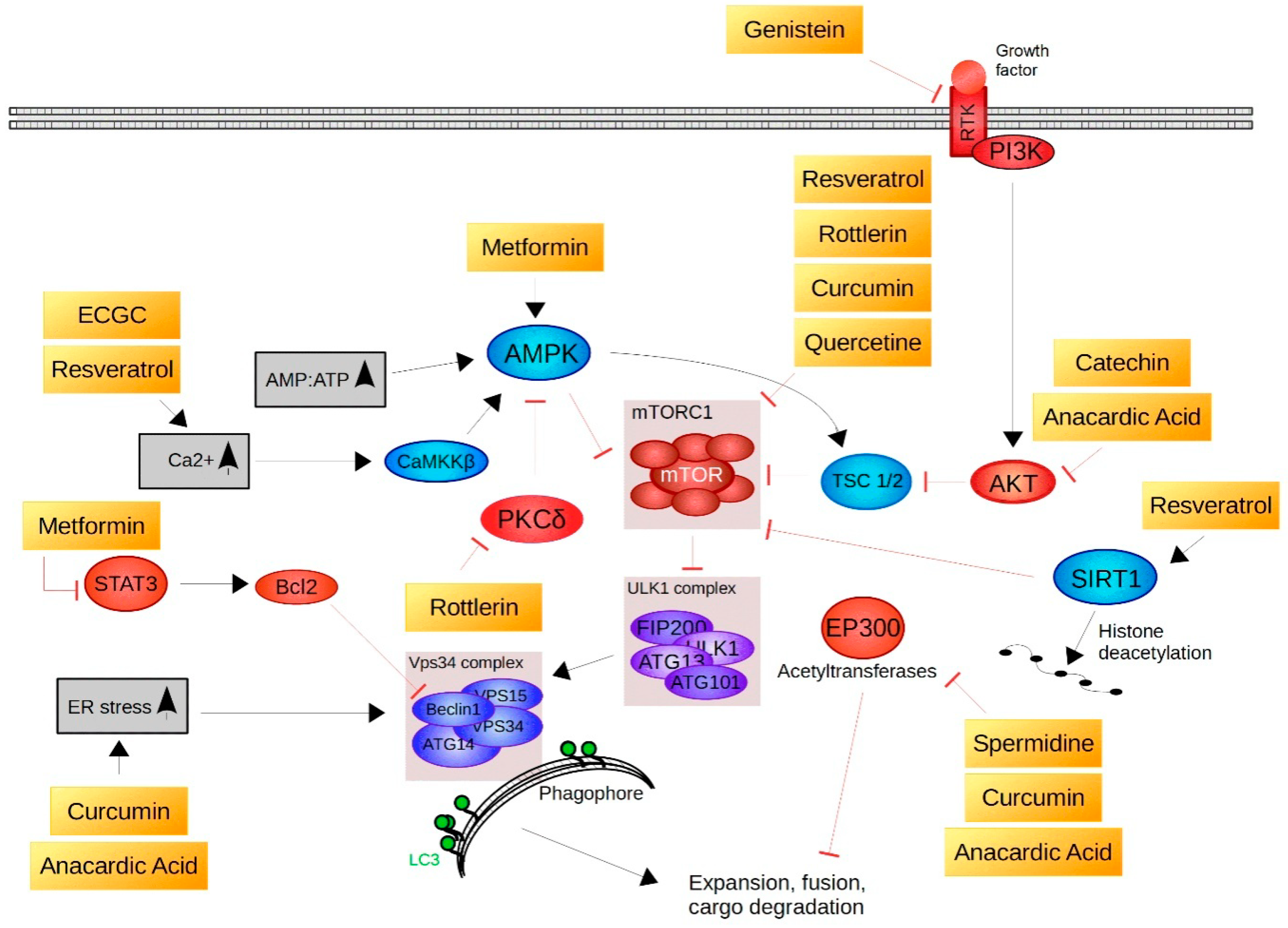 Molecules 23 01219 g003