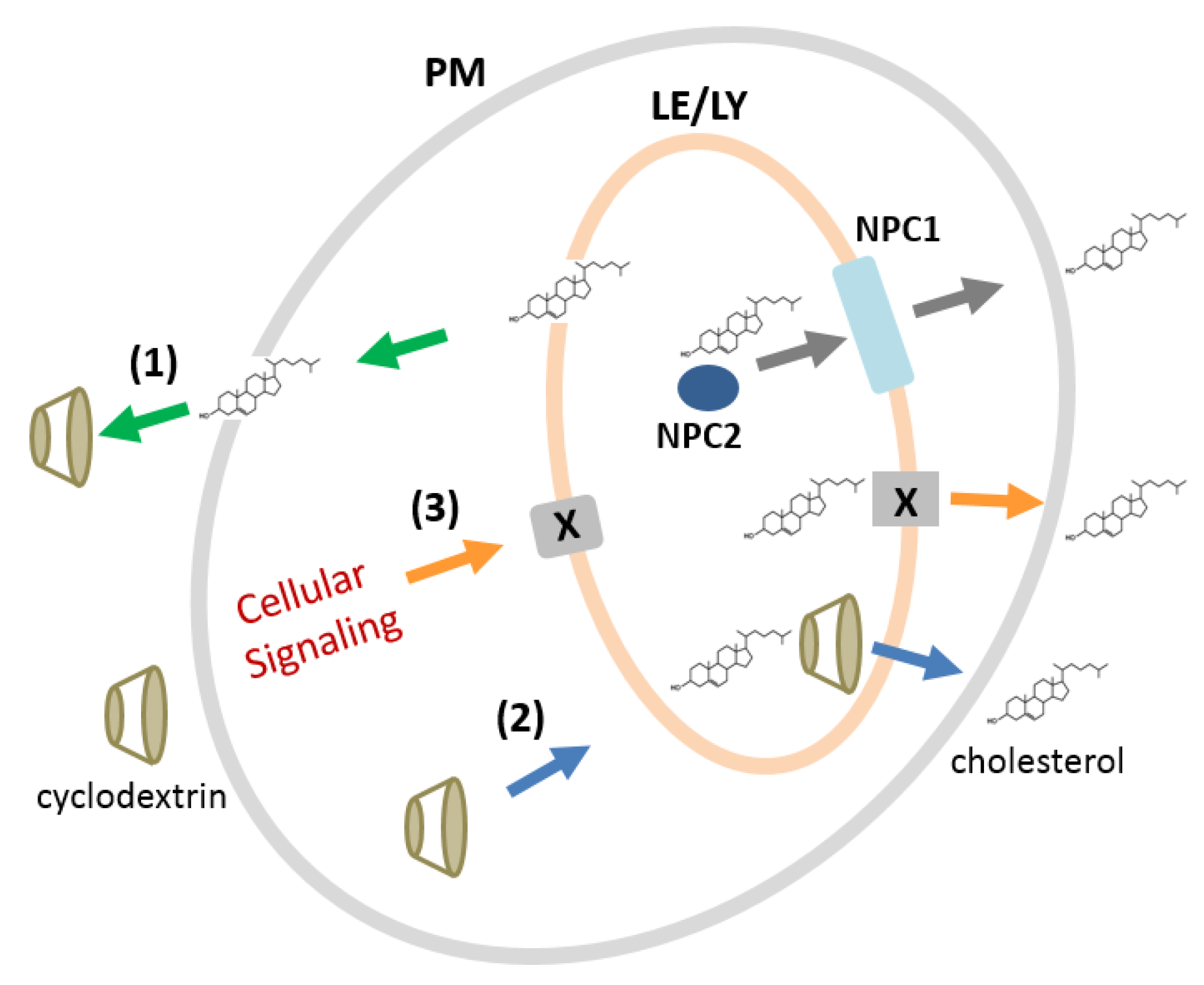 Molecules 23 01228 sch001