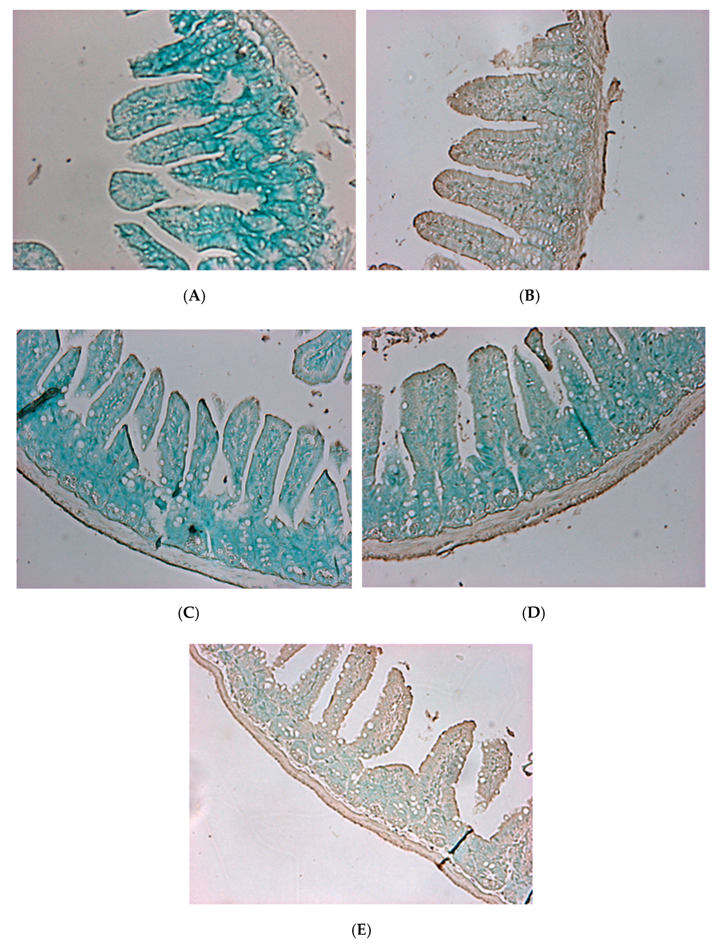 Molecules 23 01238 g010
