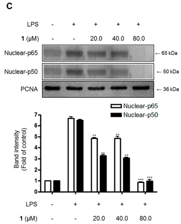 Molecules 23 01244 i001